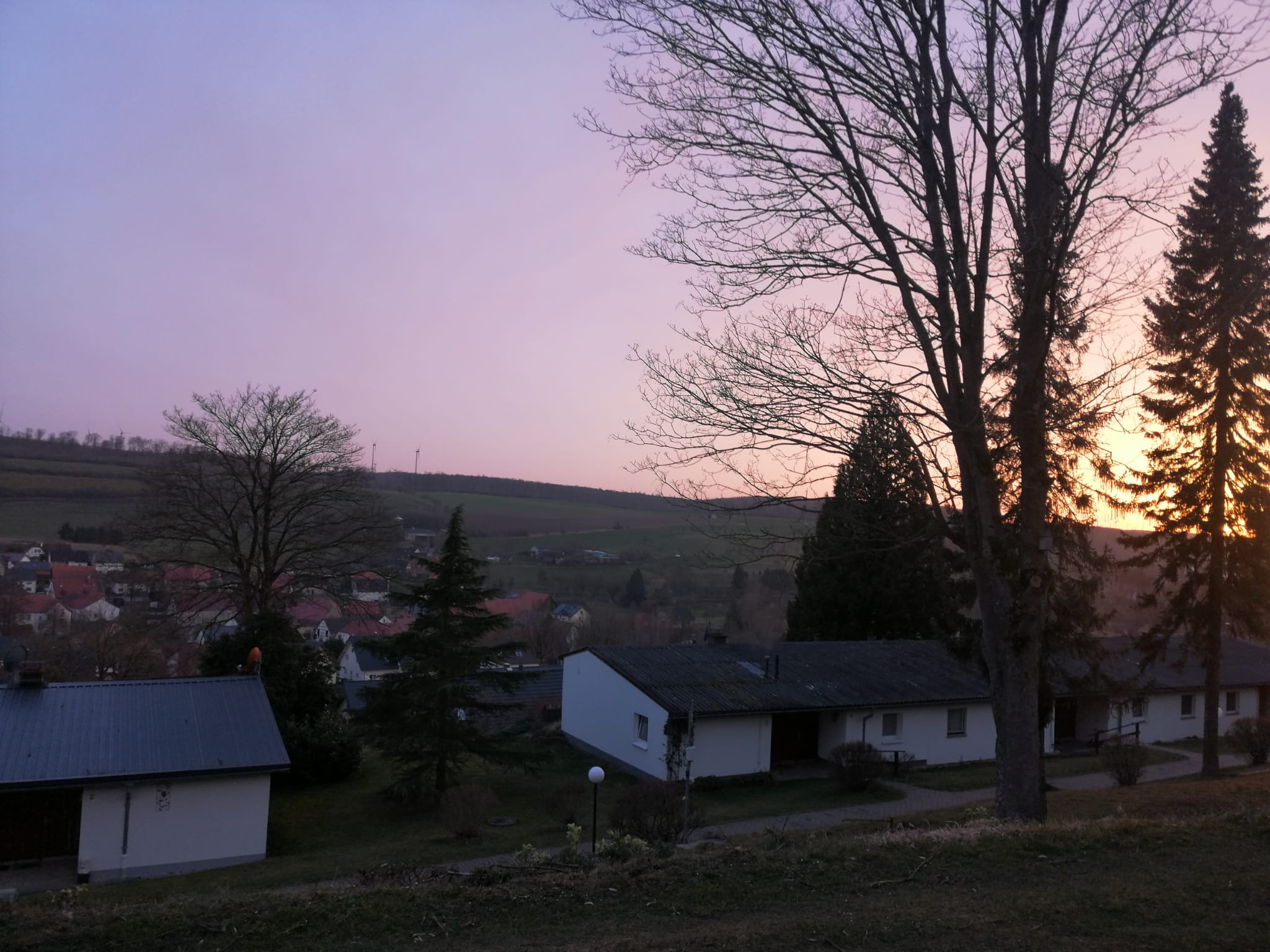 - image: 77