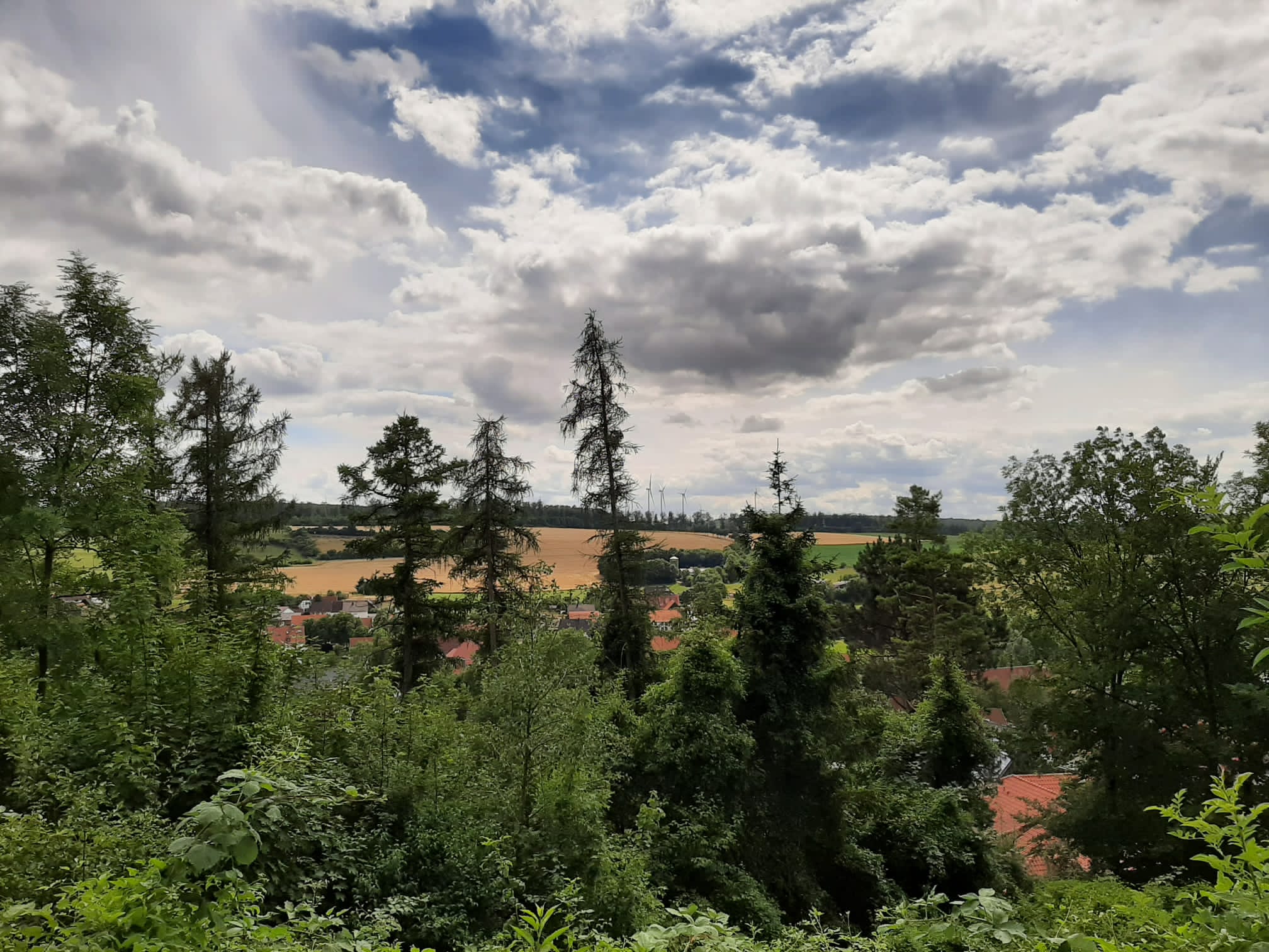 - image: 89
