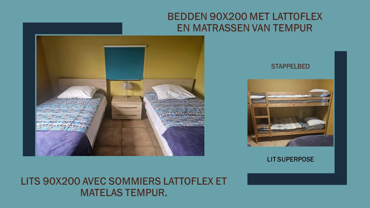 - image: 19