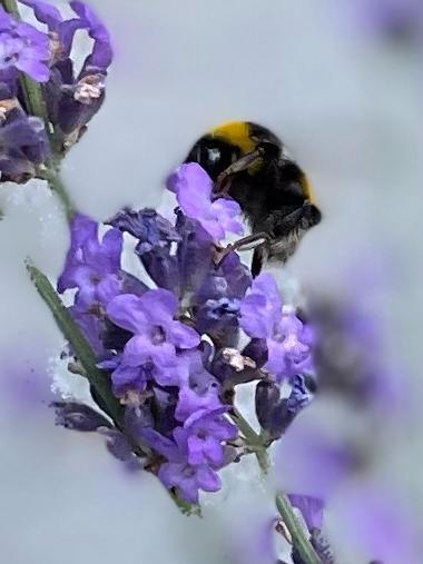 - image: 57