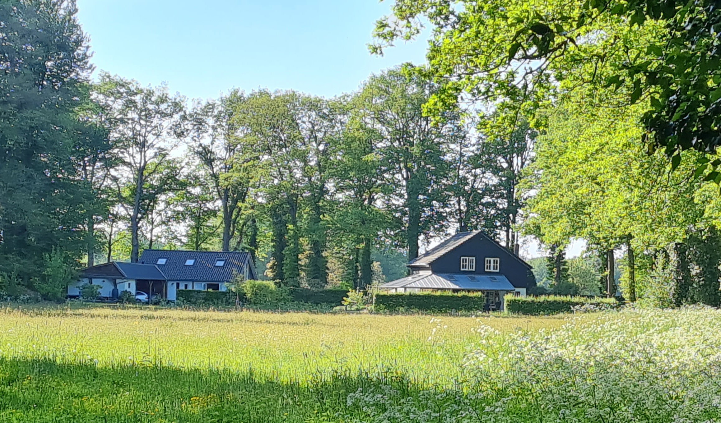 - image: 29