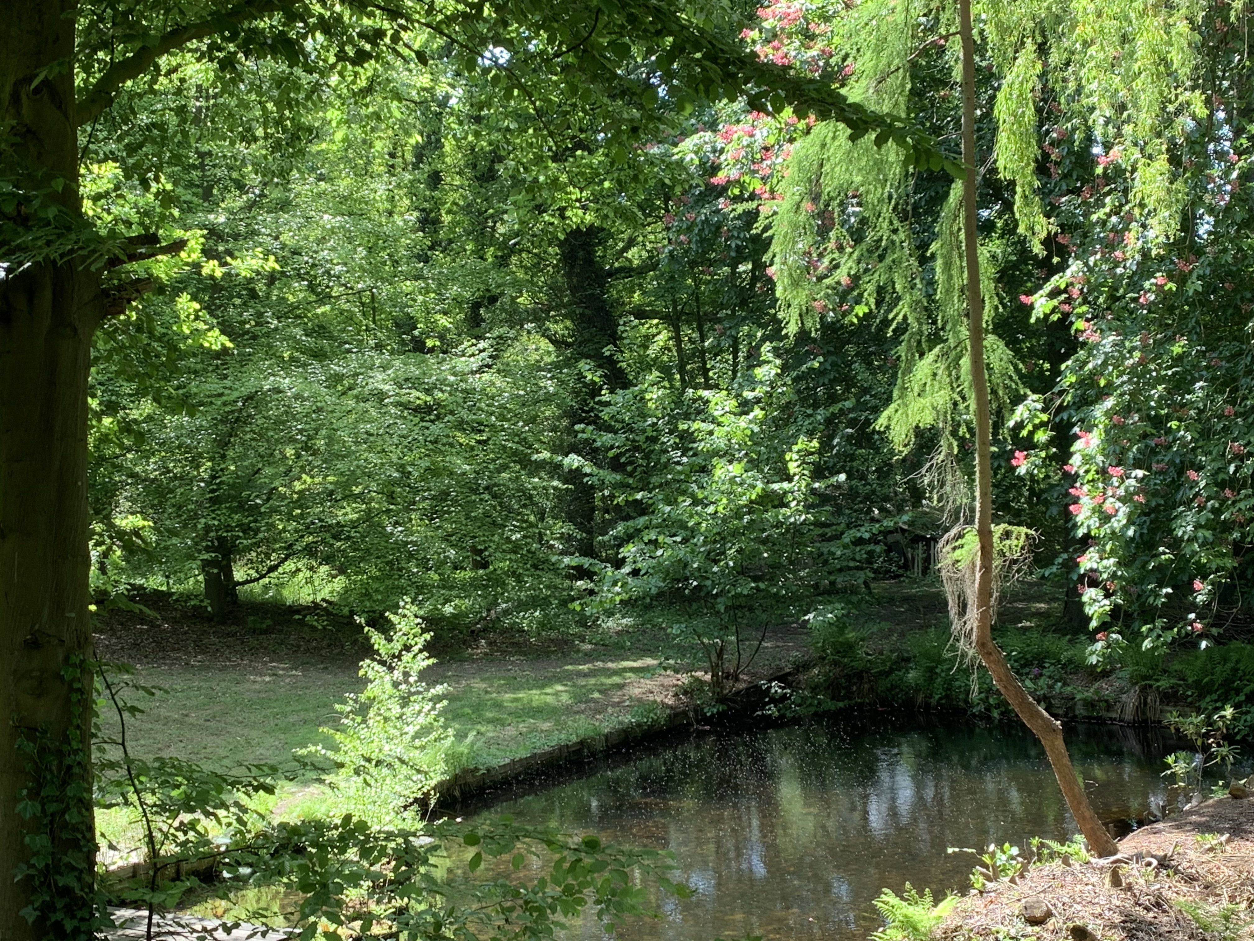 Natuurhuisje in Belfeld
