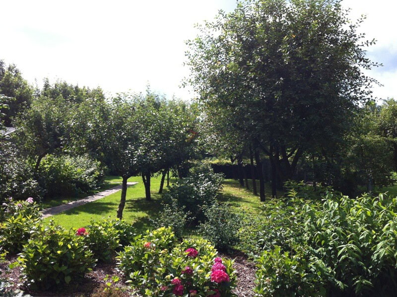 Natuurhuisje in Geesbrug