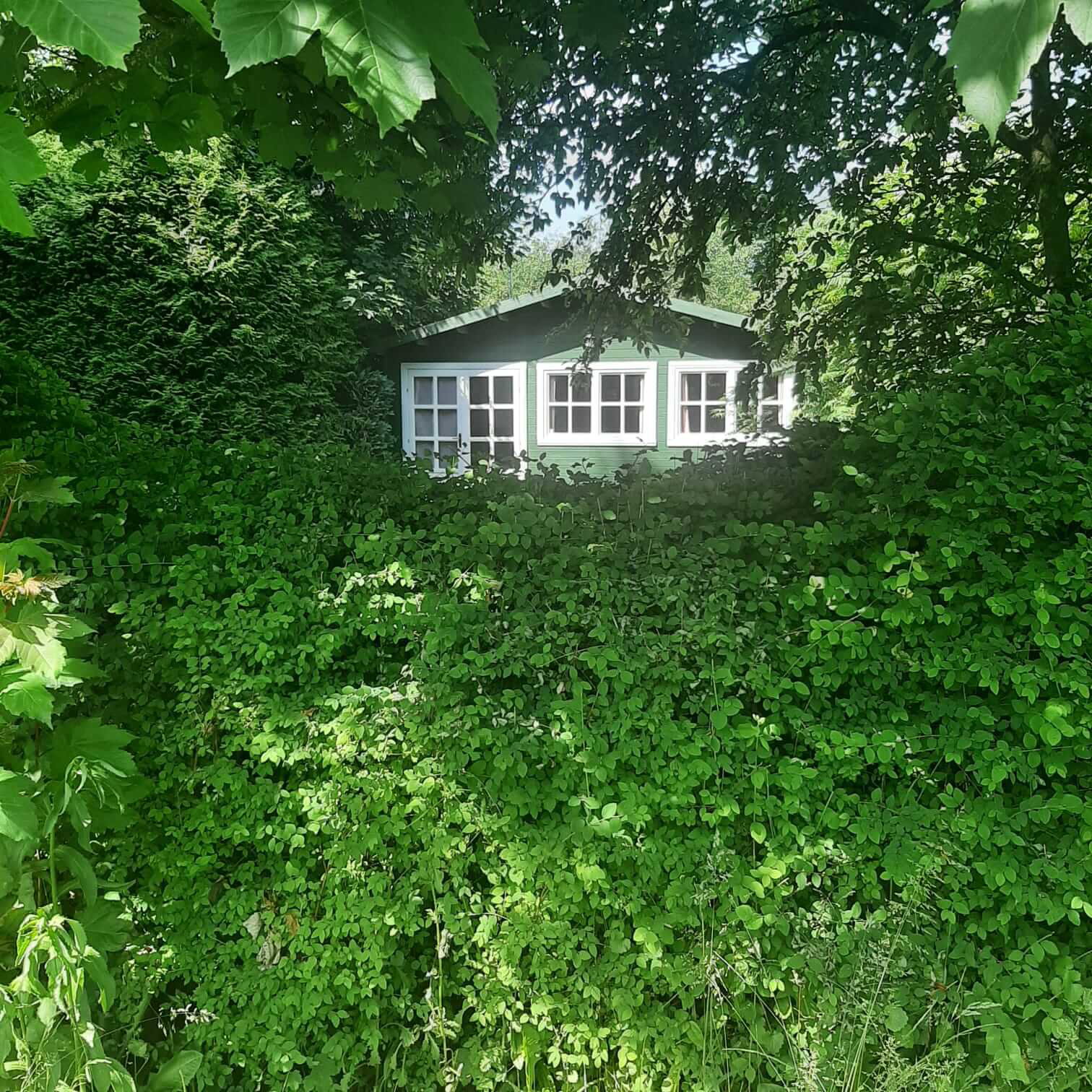 Natuurhuisje in Geesbrug