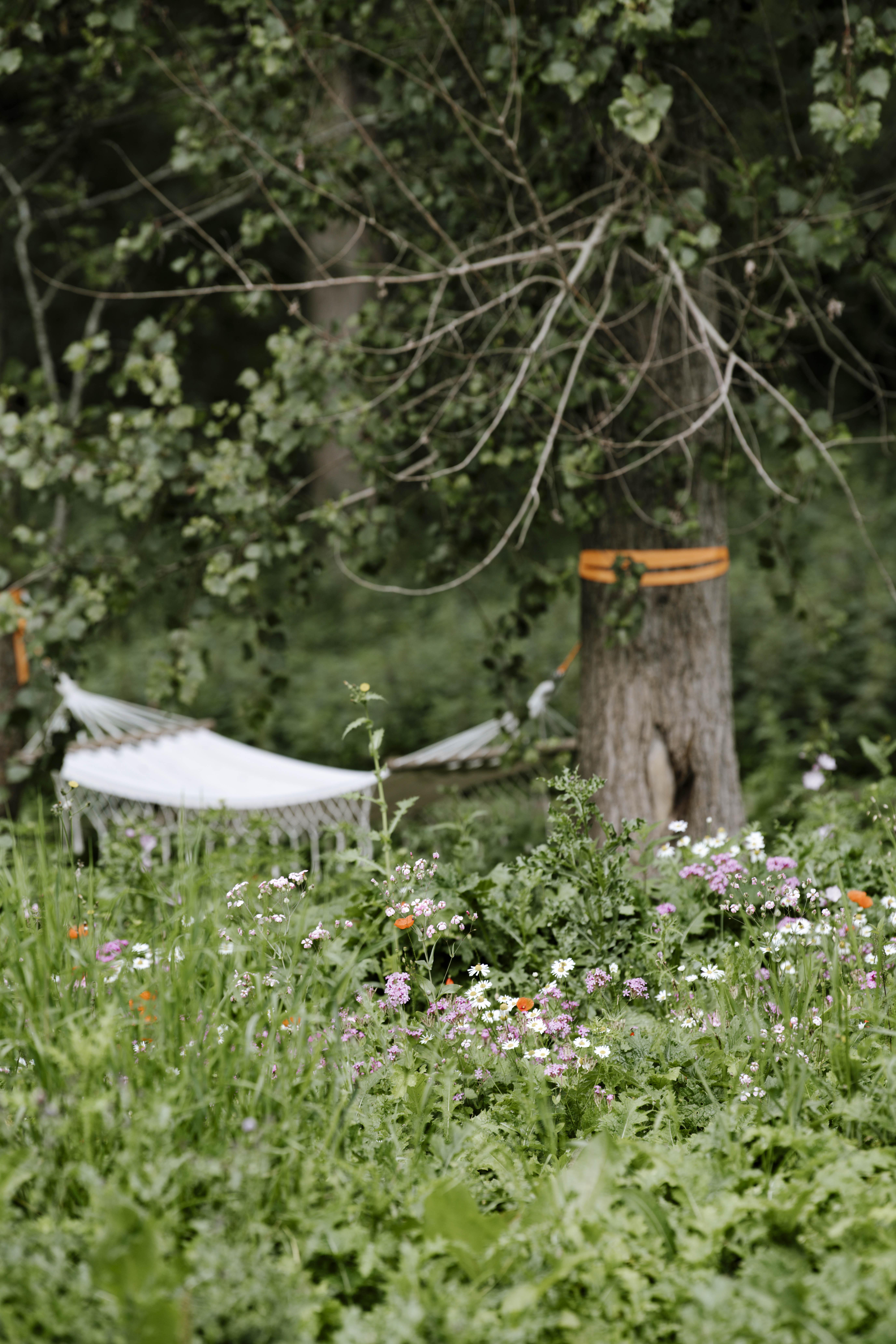 Natuurhuisje in Zeewolde