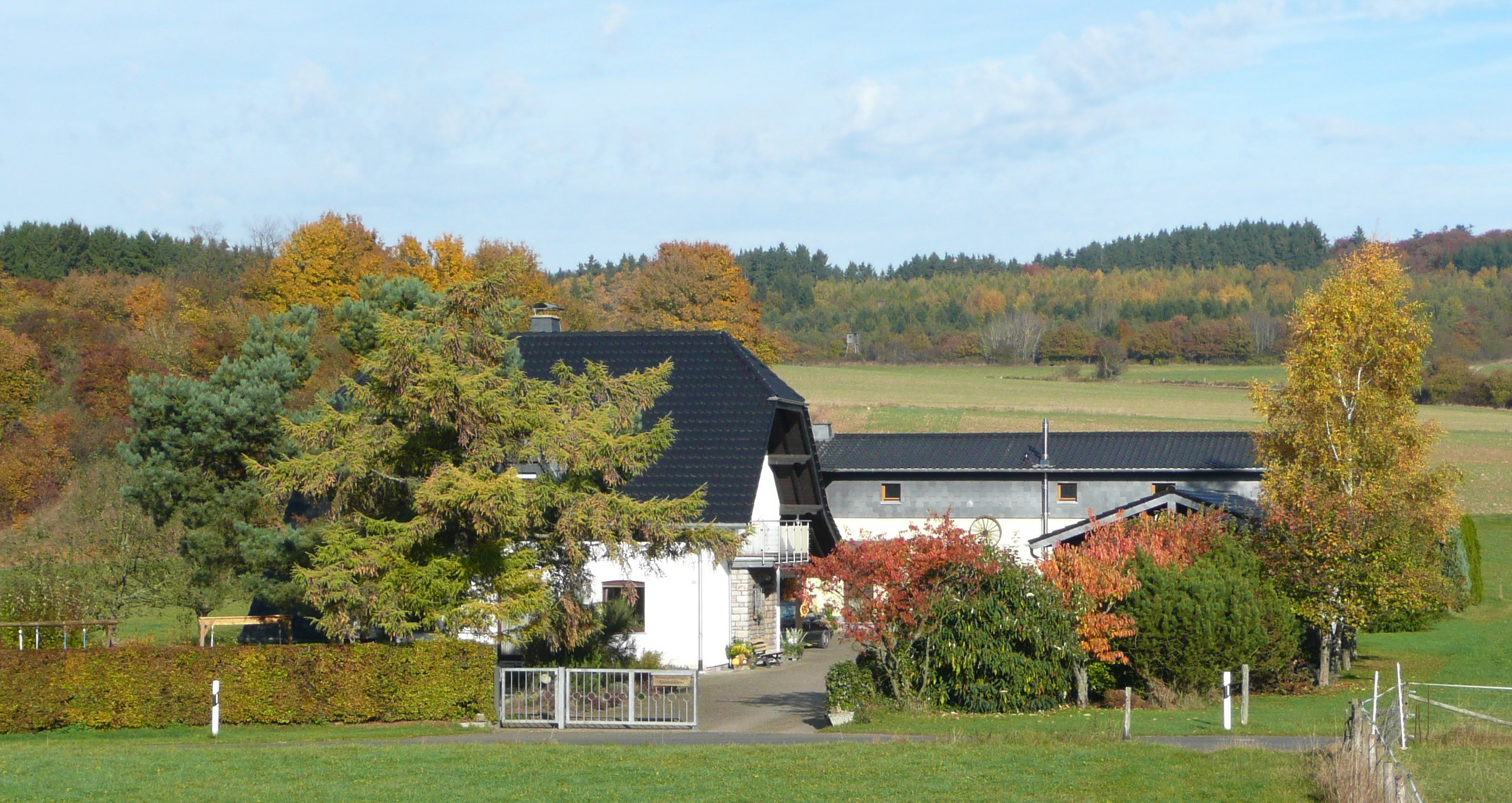 - image: 1