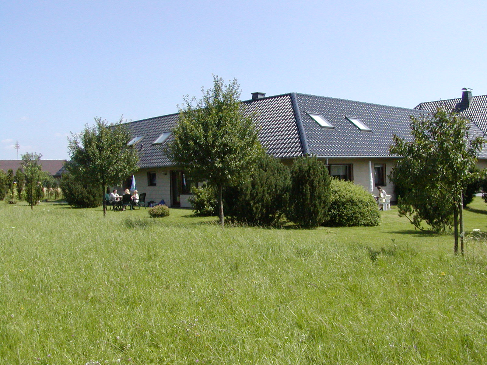 - image: 8