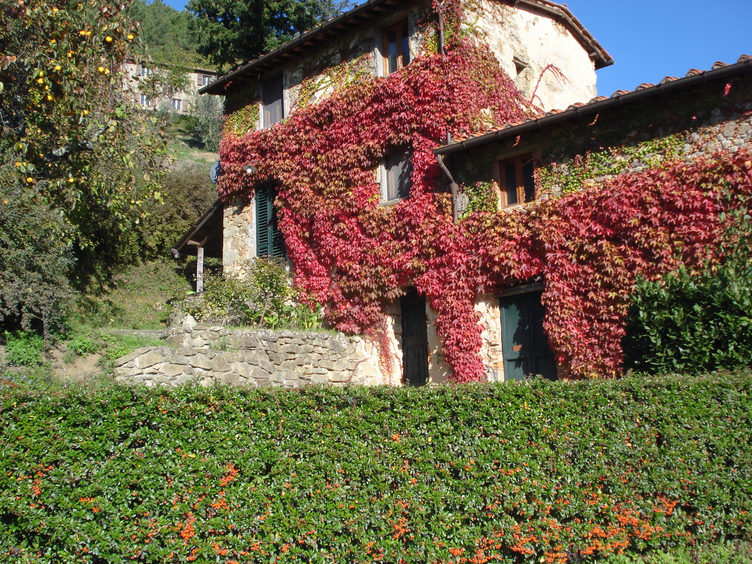 Maison nature à Pietrabuona