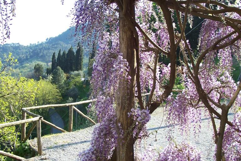 Maison nature à Pietrabuona