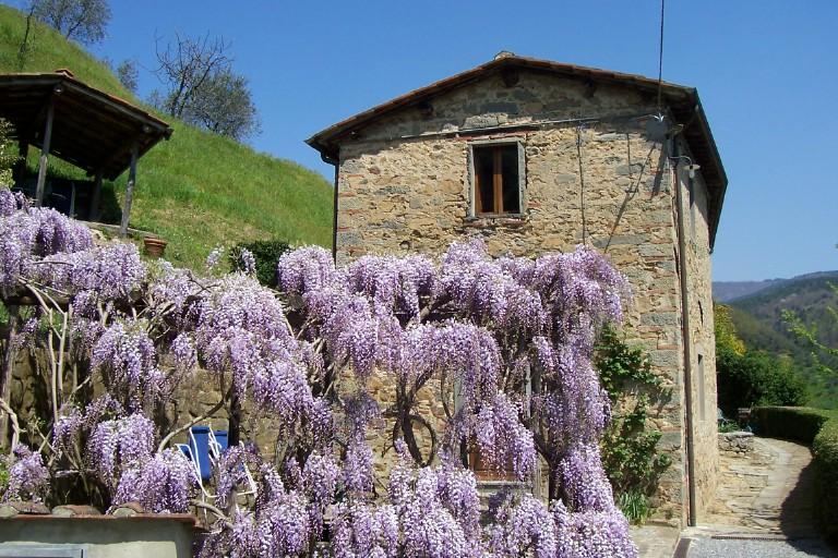 Maison nature à Pietrabuona