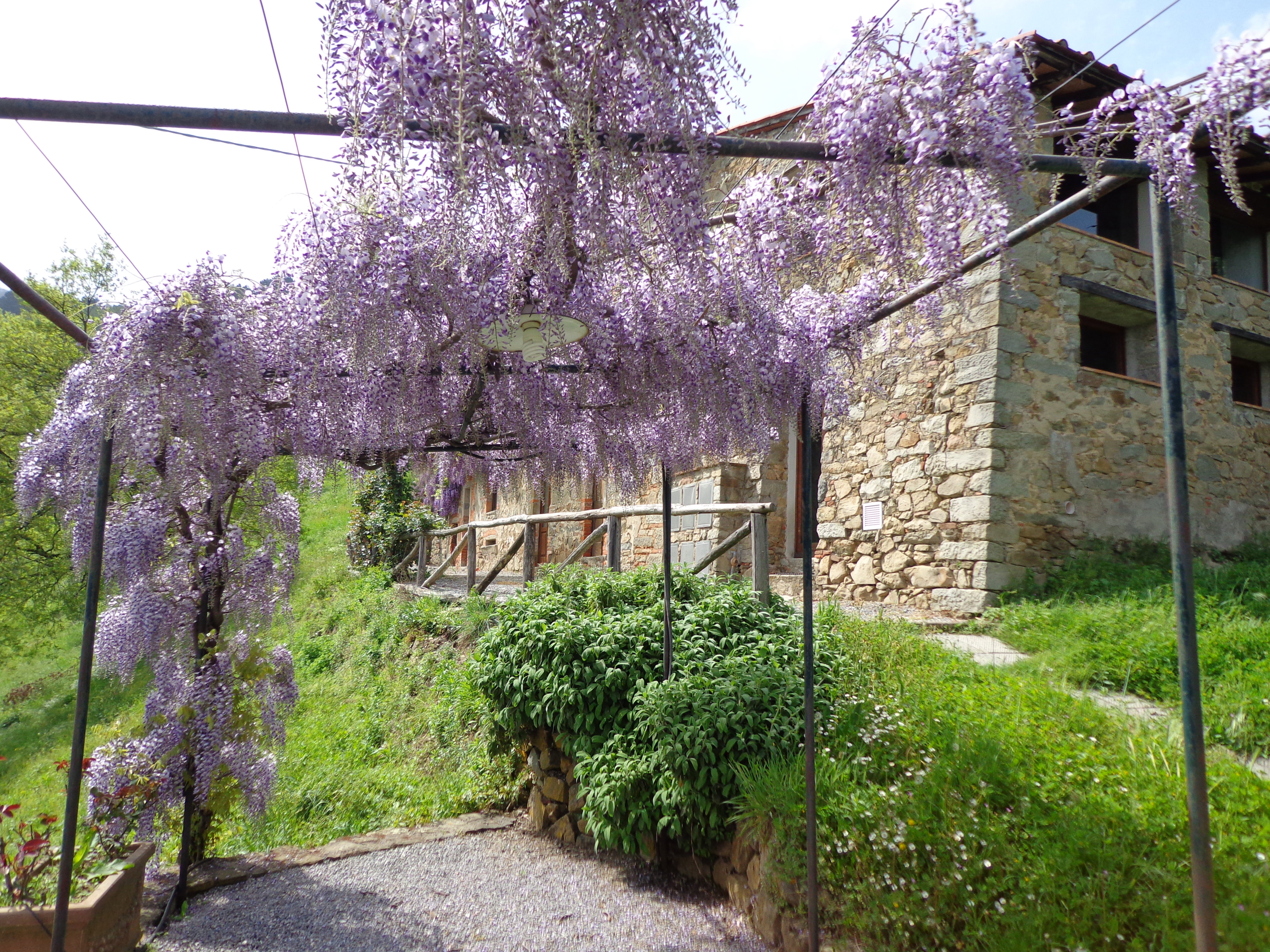 Maison nature à Pietrabuona