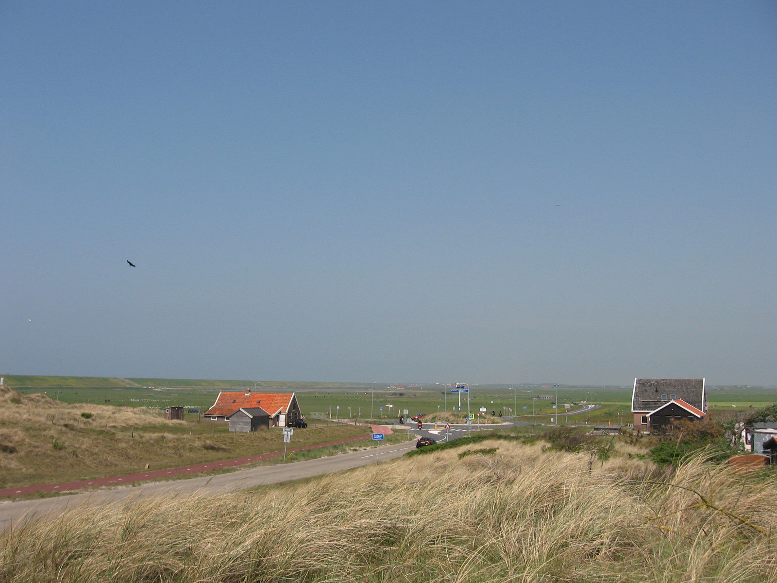 - image: 11
