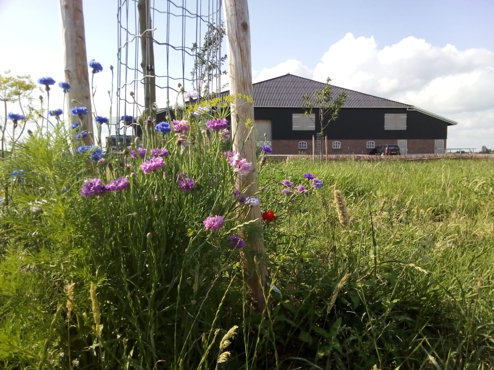 Naturhäuschen in Streefkerk