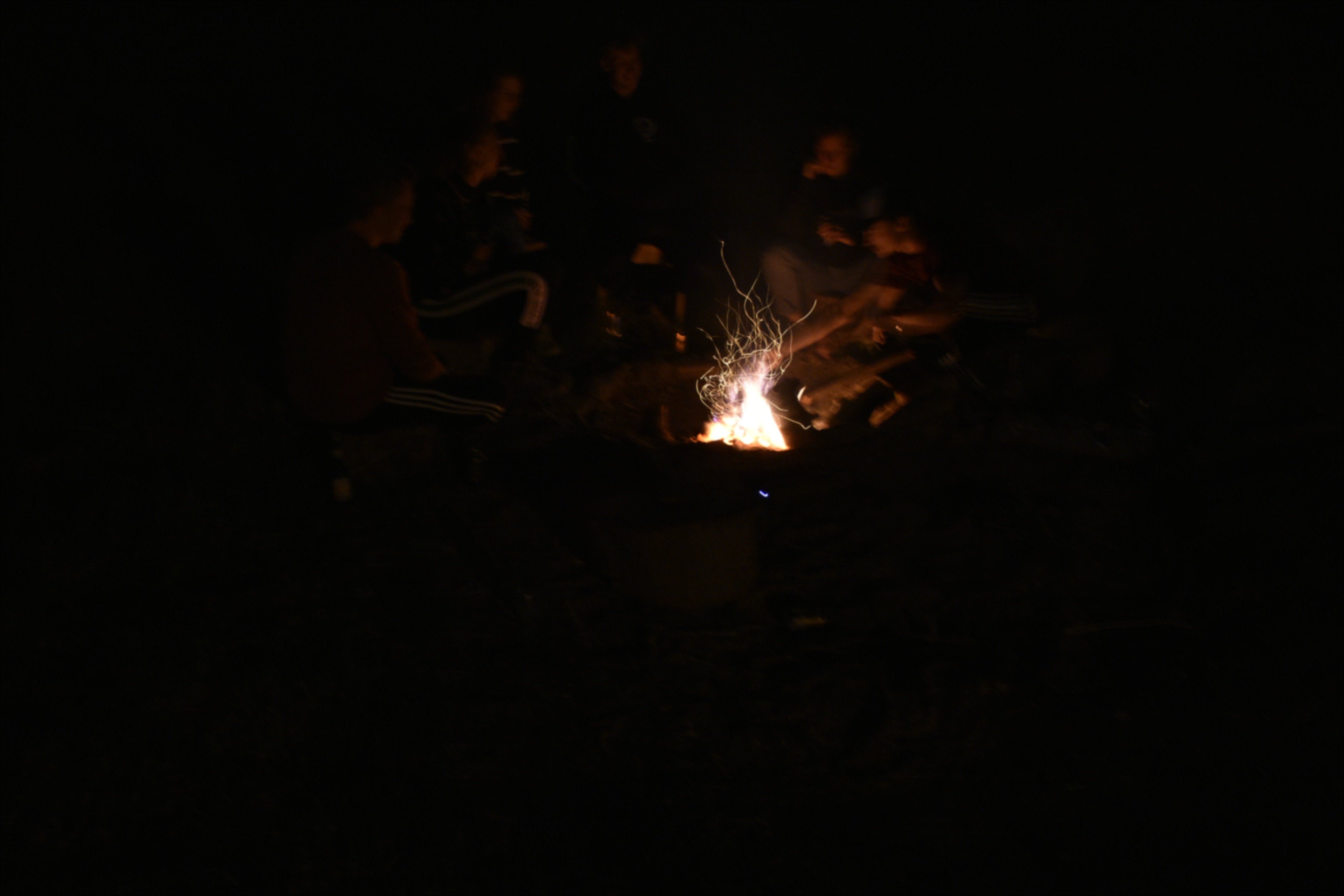 - image: 13