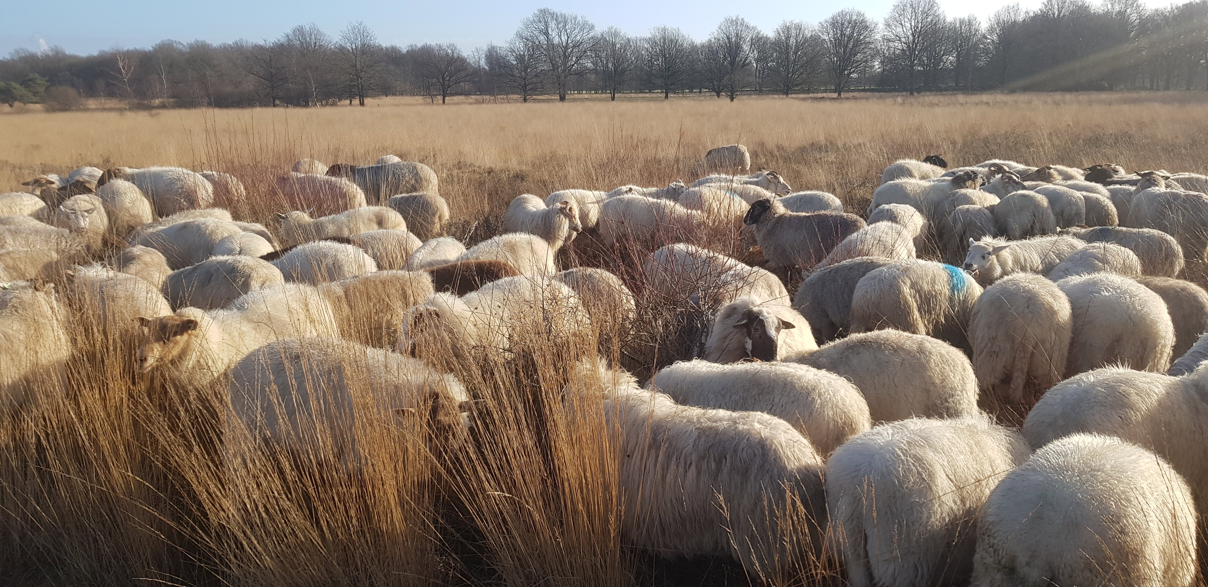 Naturhäuschen in Ruinen