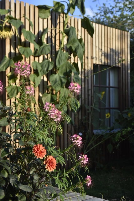 Natuurhuisje in Megchelen