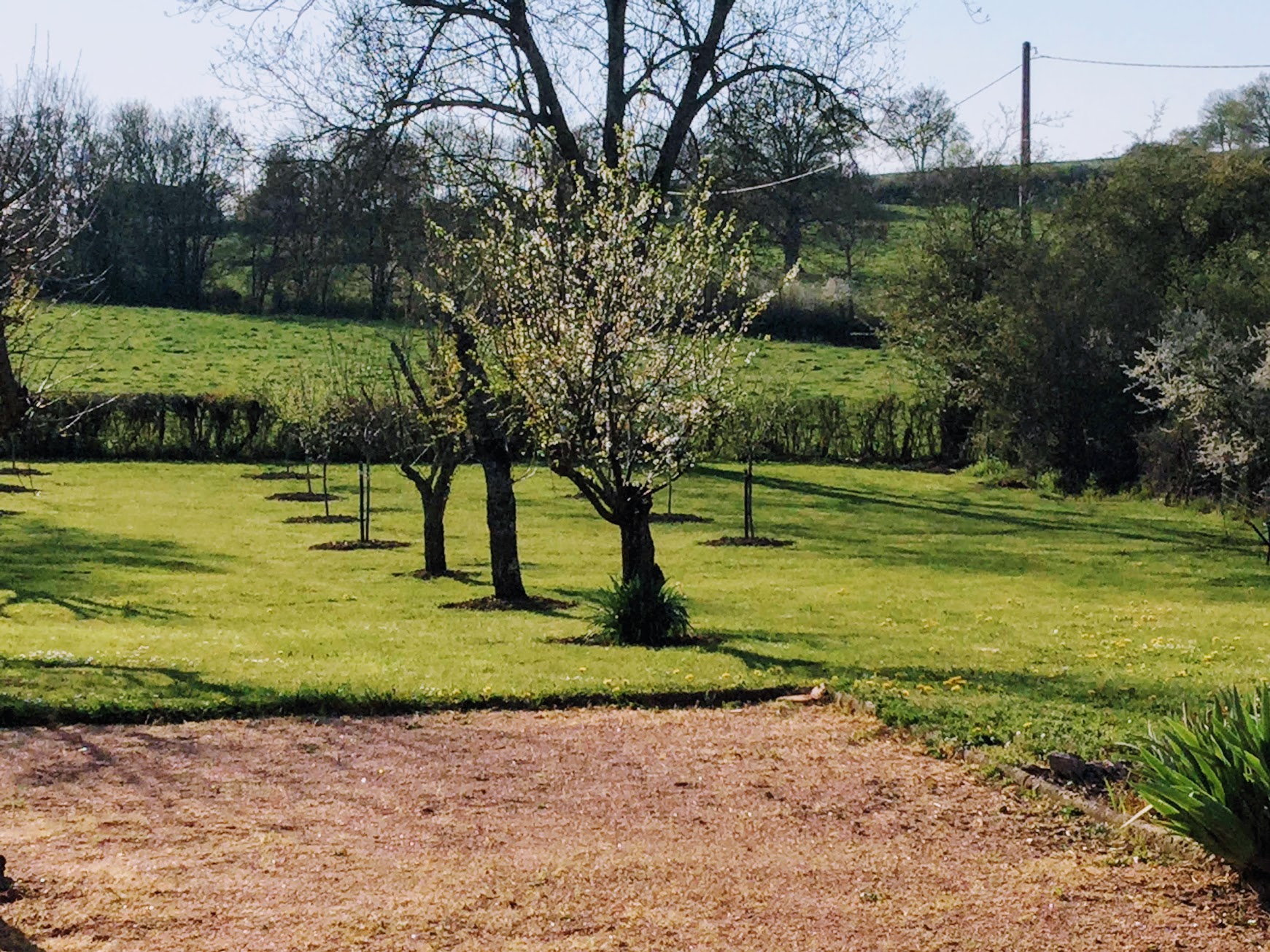 Maison nature à Vendenesse-Lès-Charolles