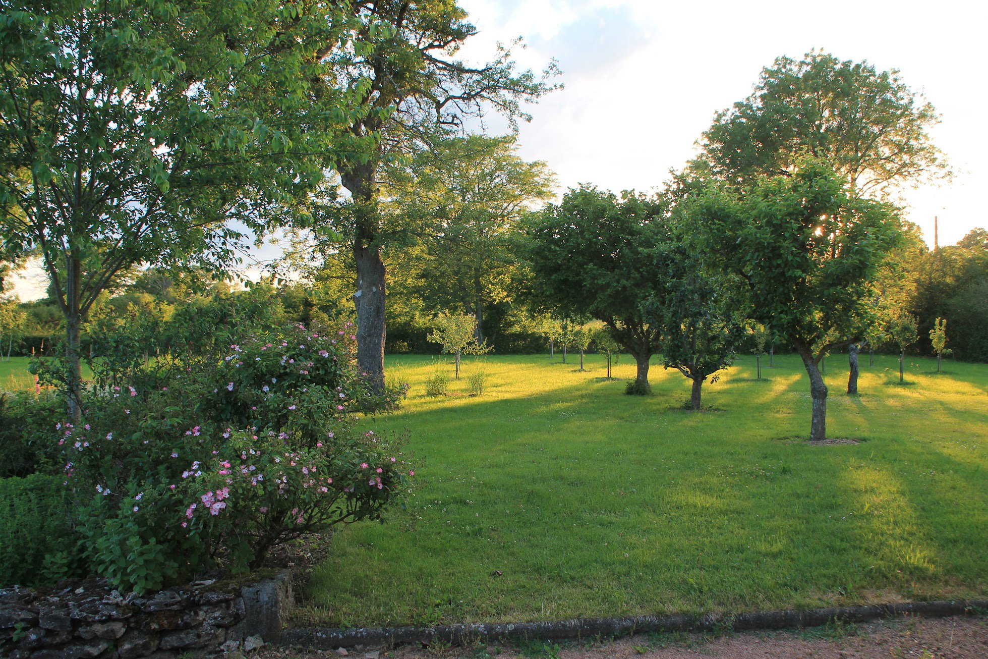 Maison nature à Vendenesse-Lès-Charolles
