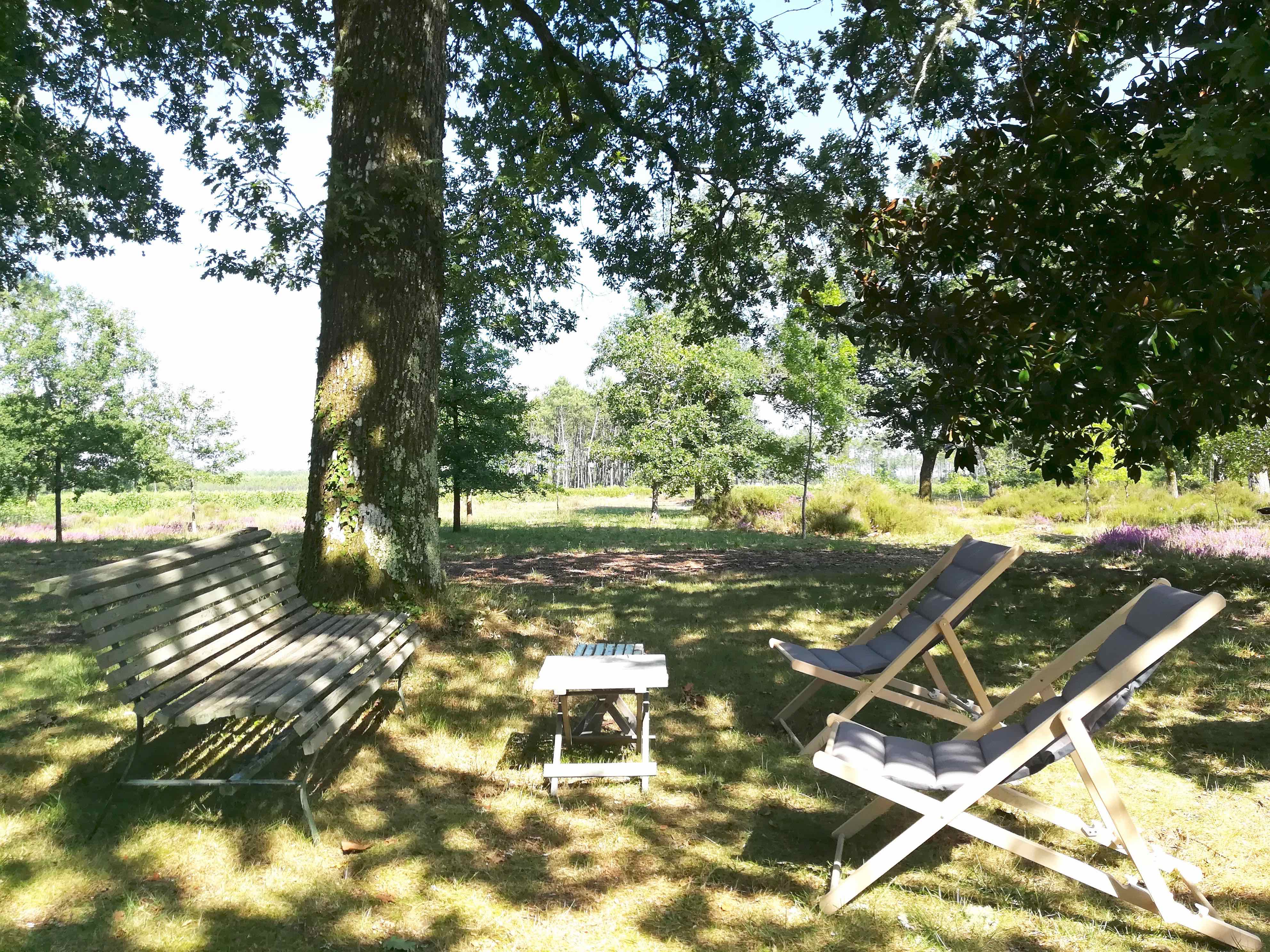 Maison nature à Castets