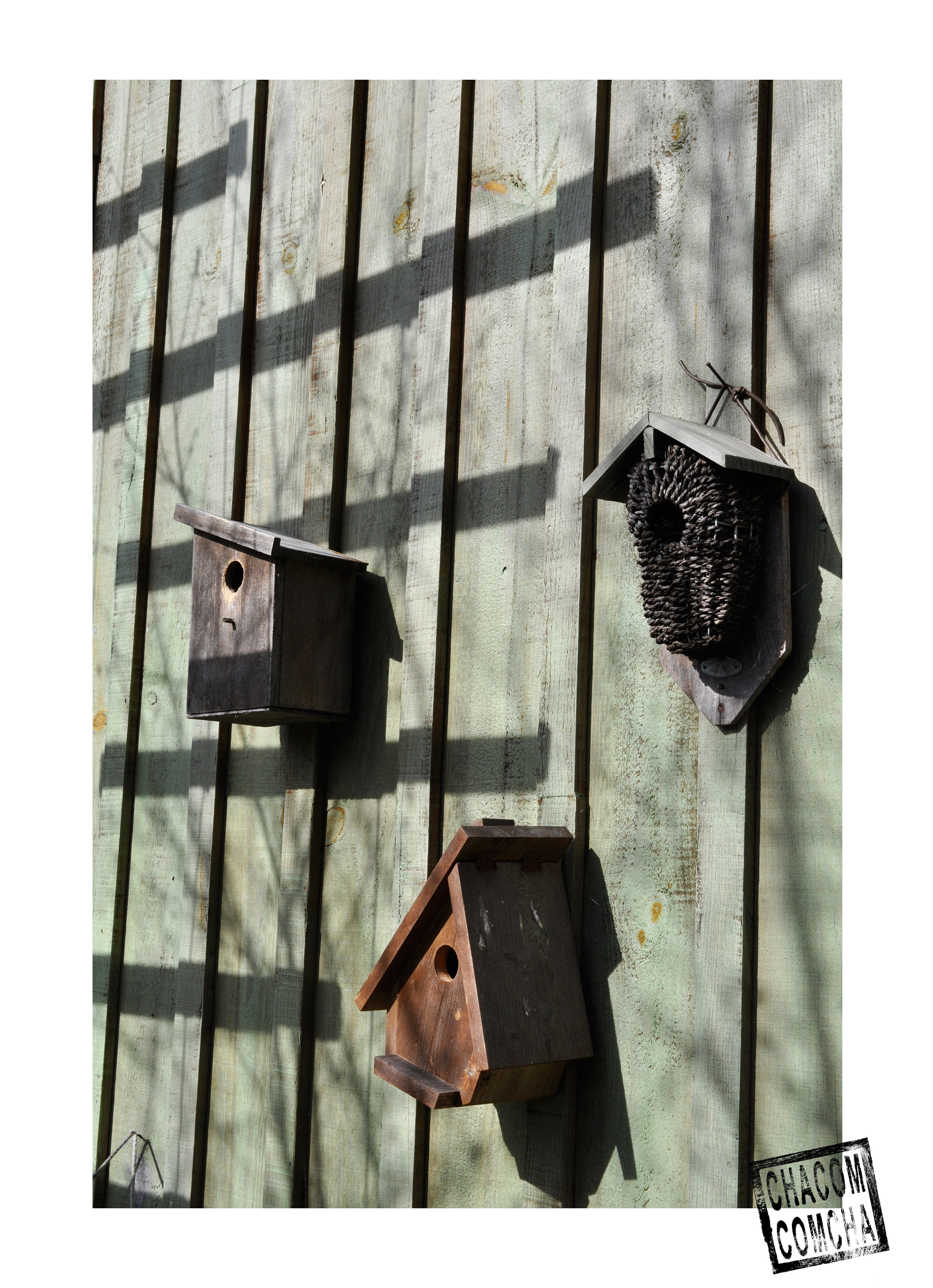 - image: 19