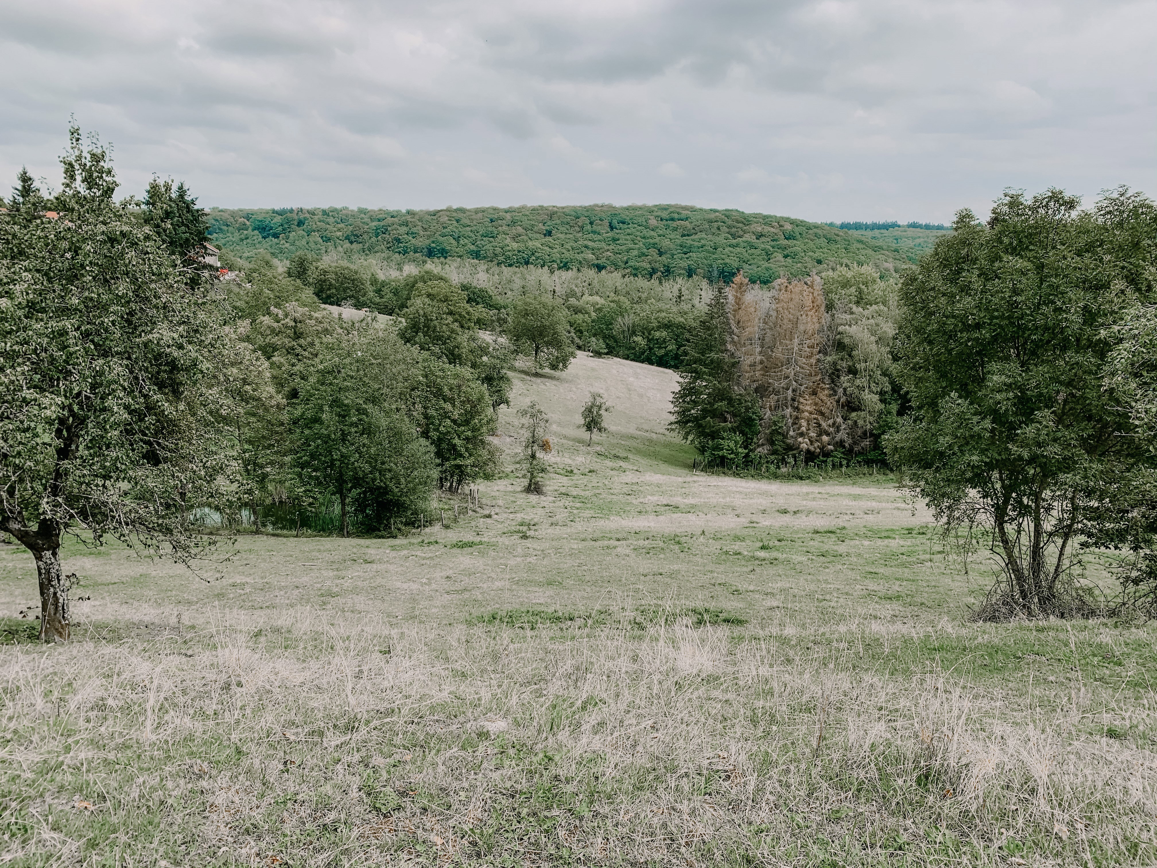 - image: 15