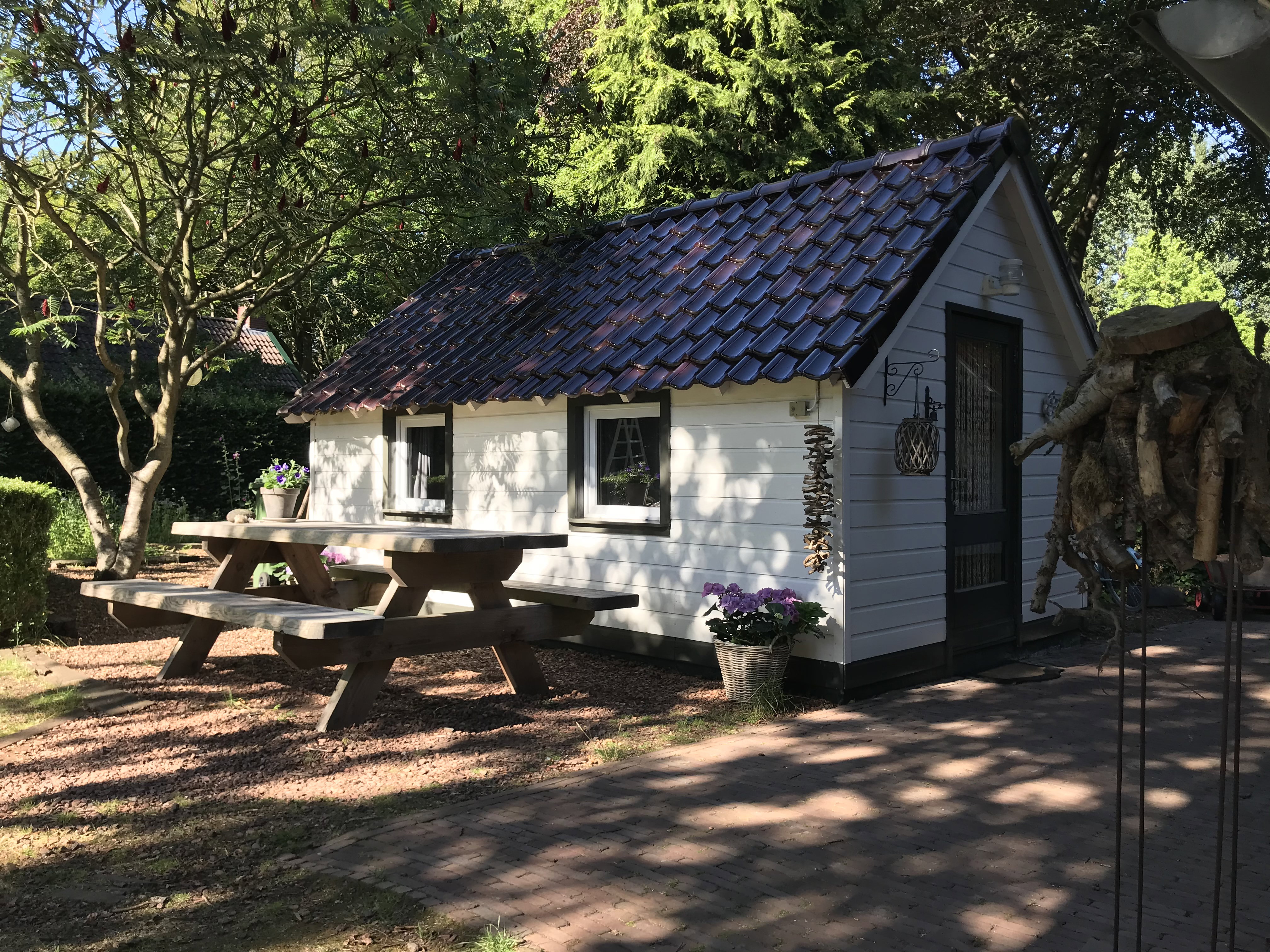 Maison nature à Gasselte