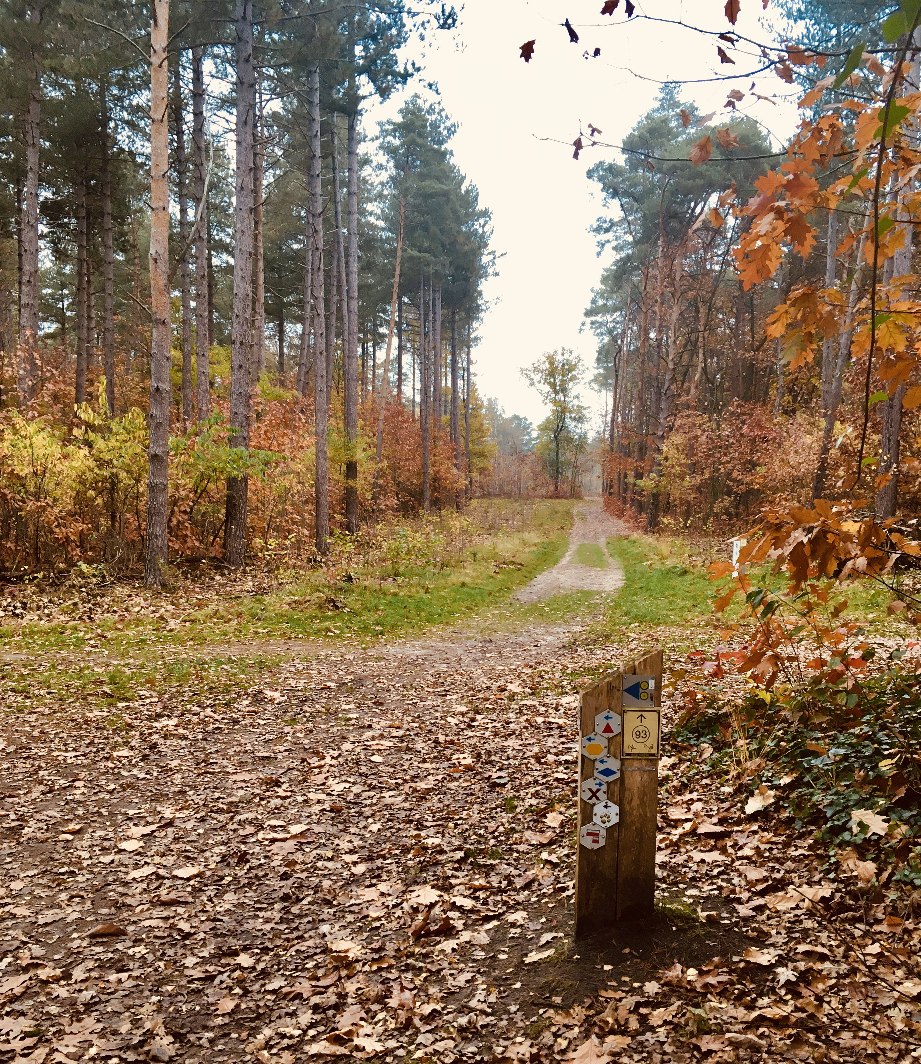Natuurhuisje in Gellik