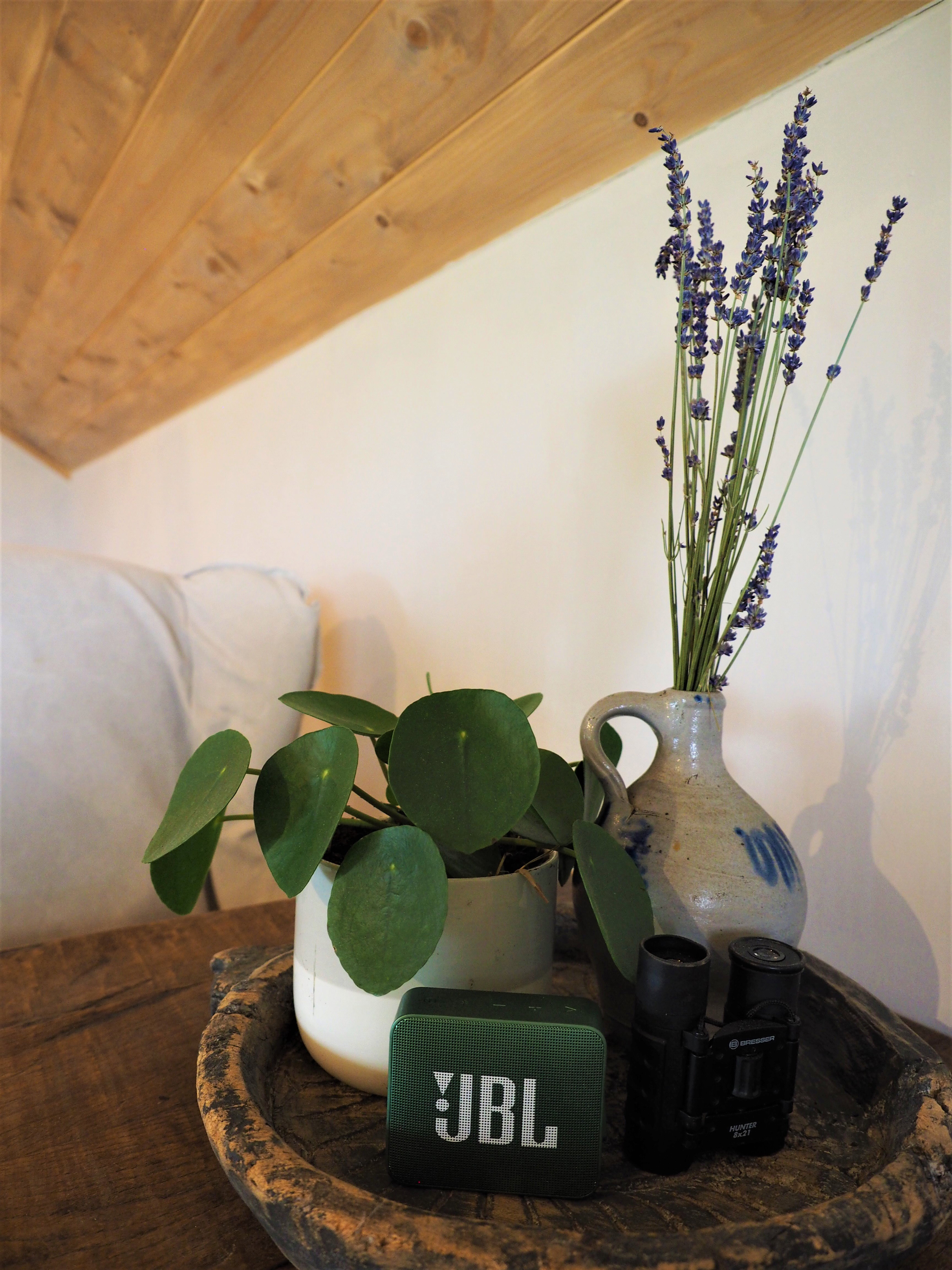 - image: 11