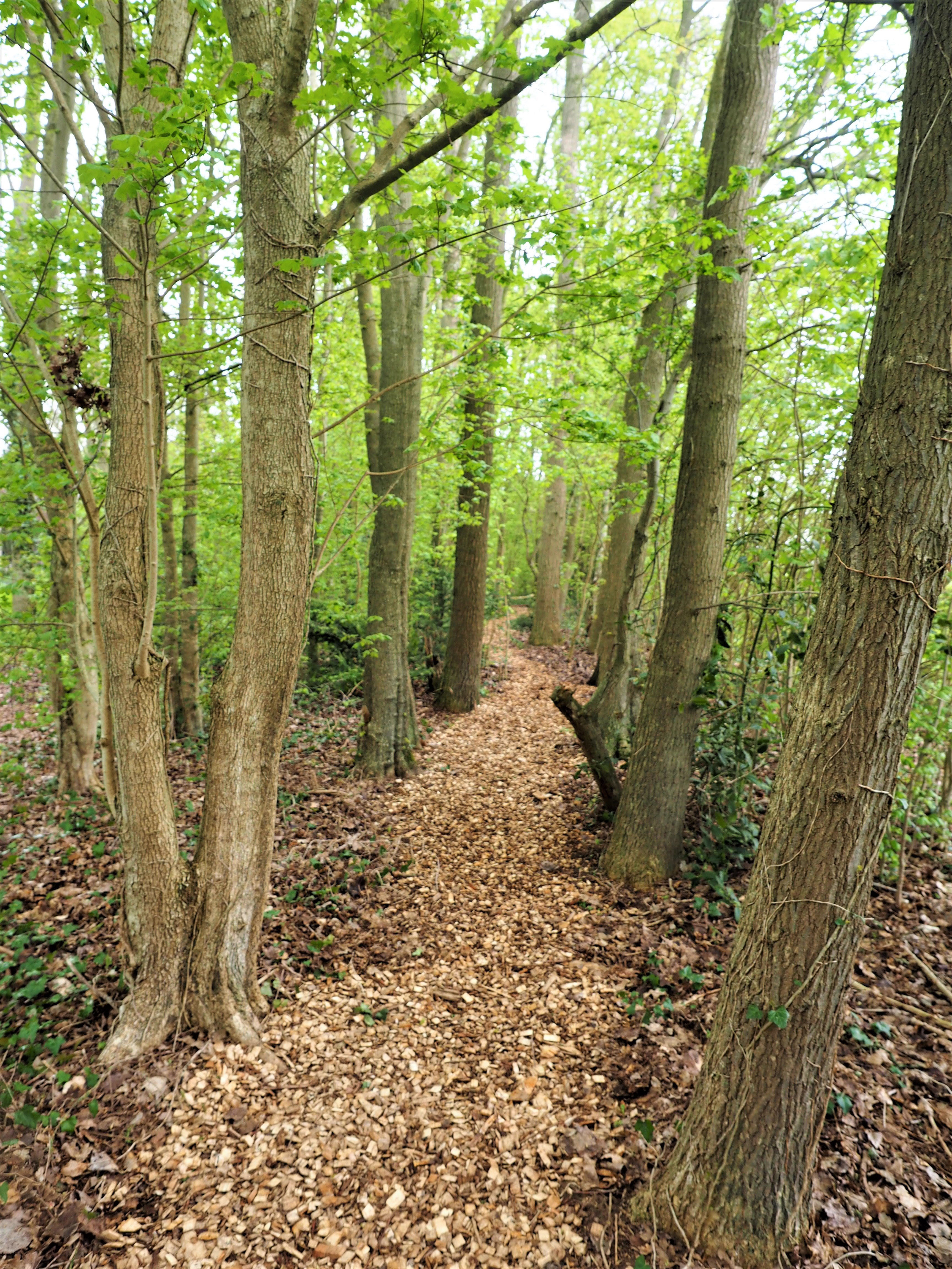 Naturhäuschen in Harfsen