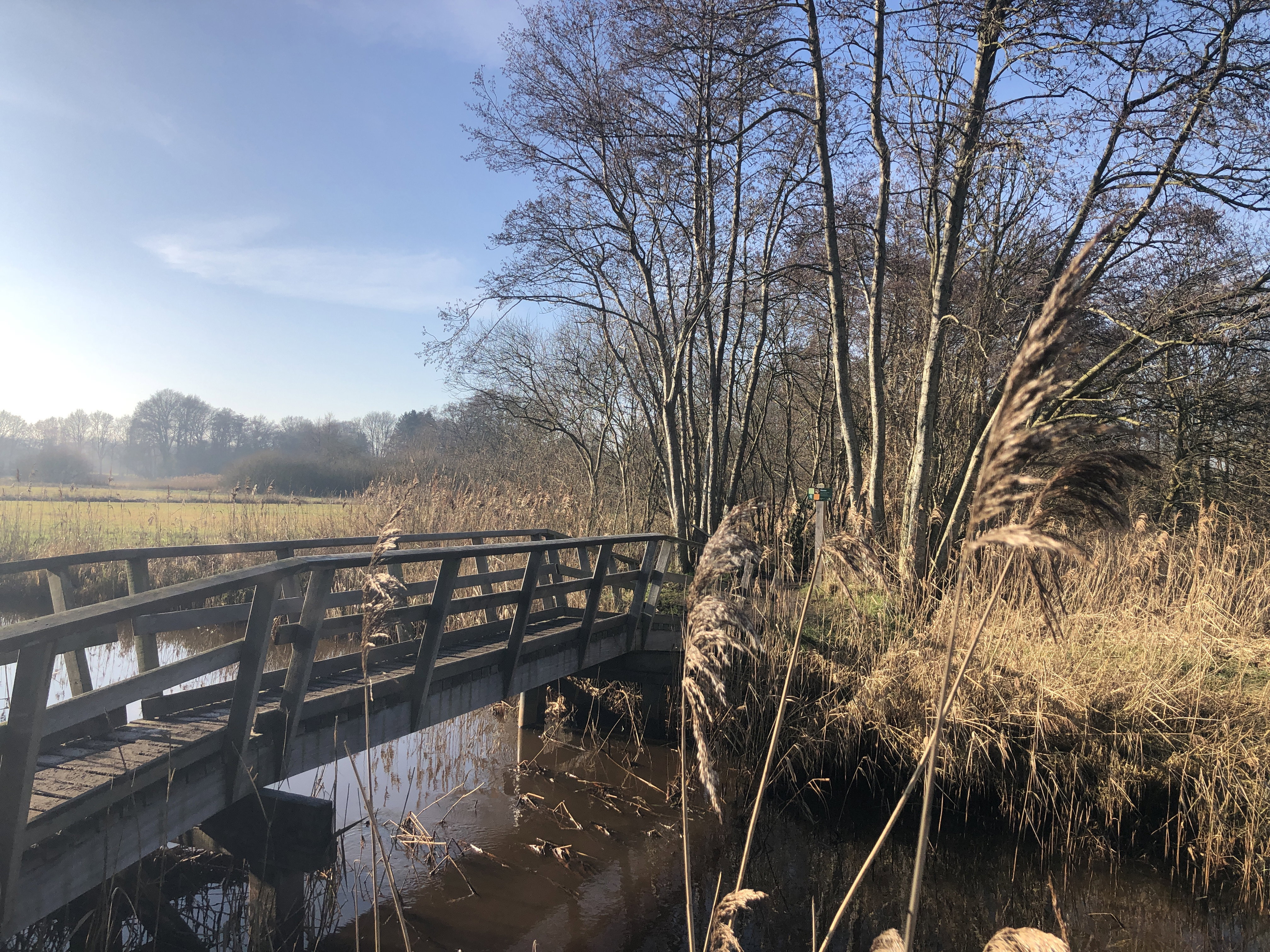 Naturhäuschen in IJhorst