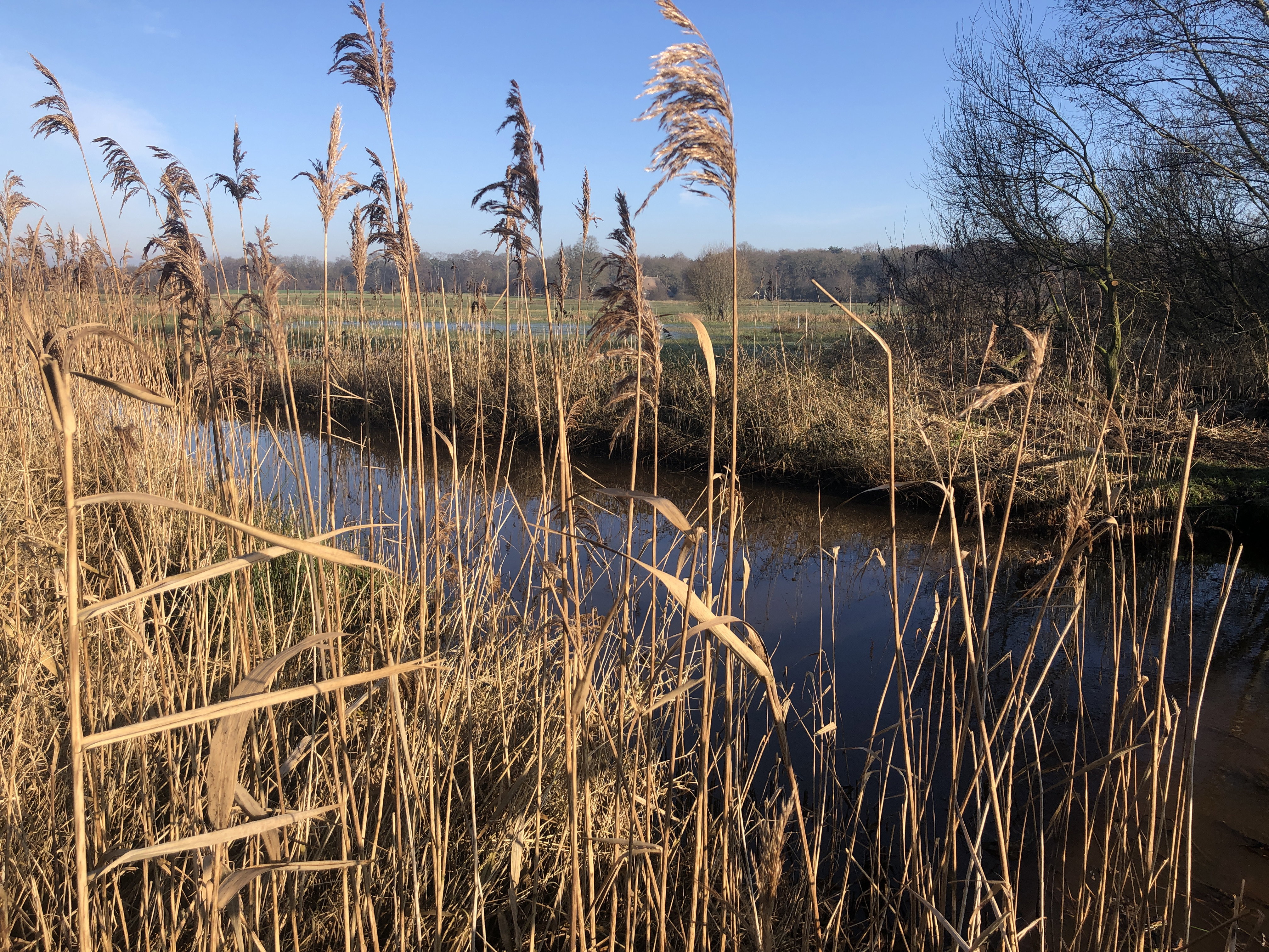 Naturhäuschen in IJhorst