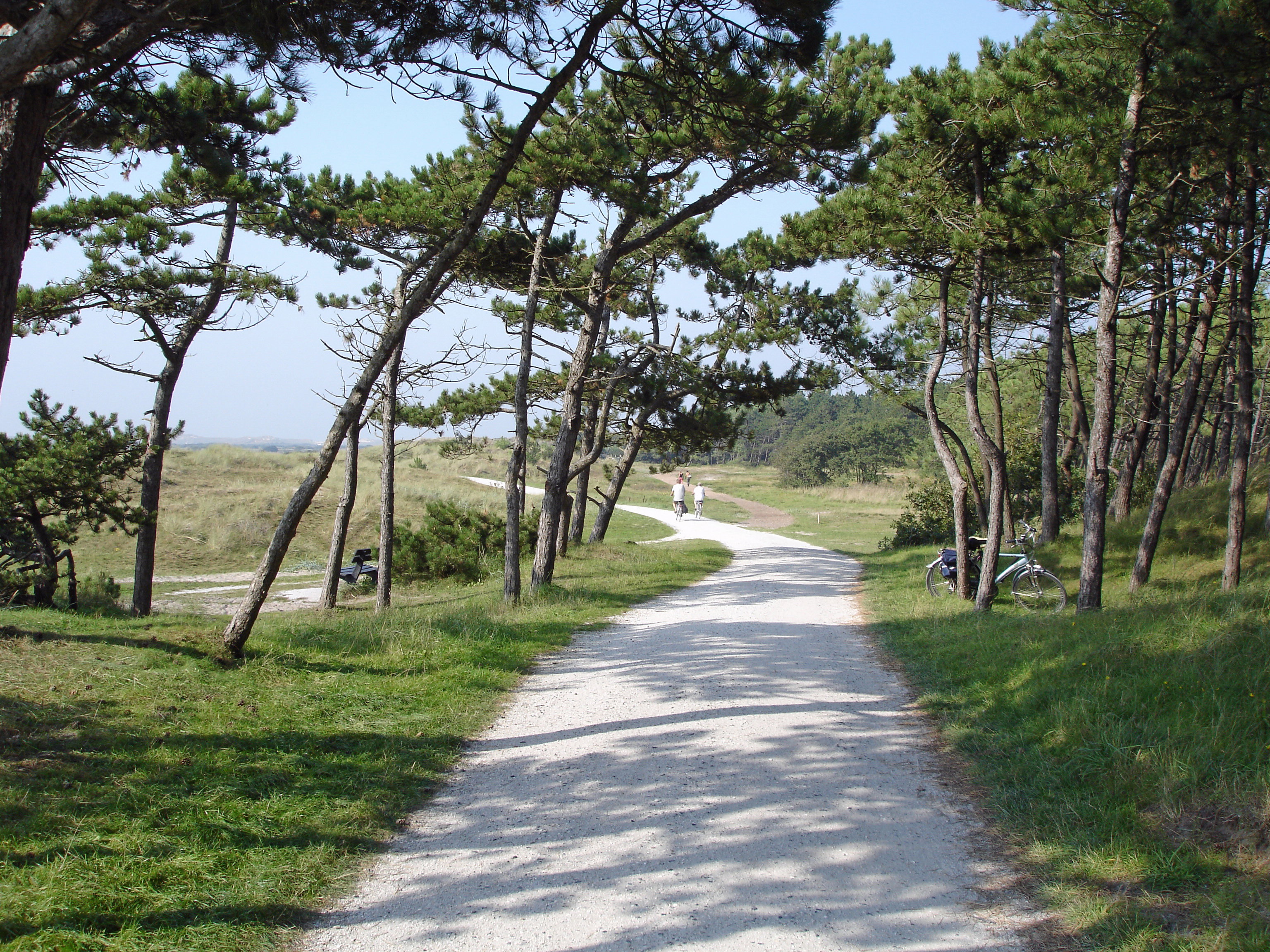 - image: 11