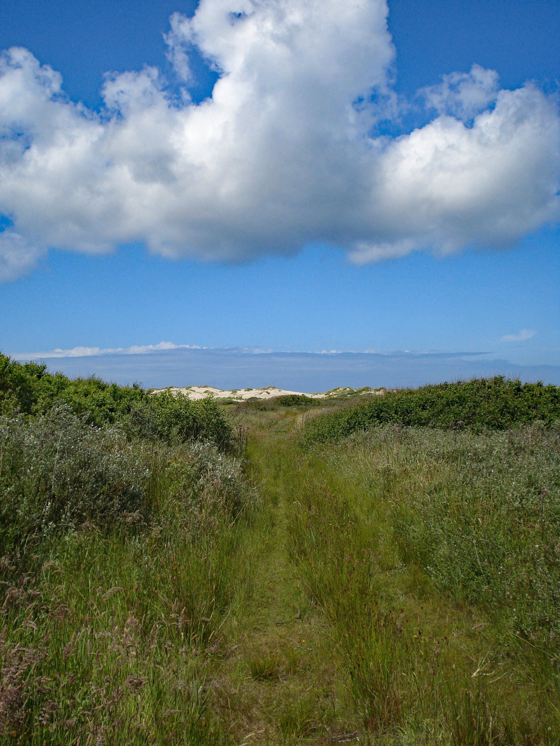 - image: 20