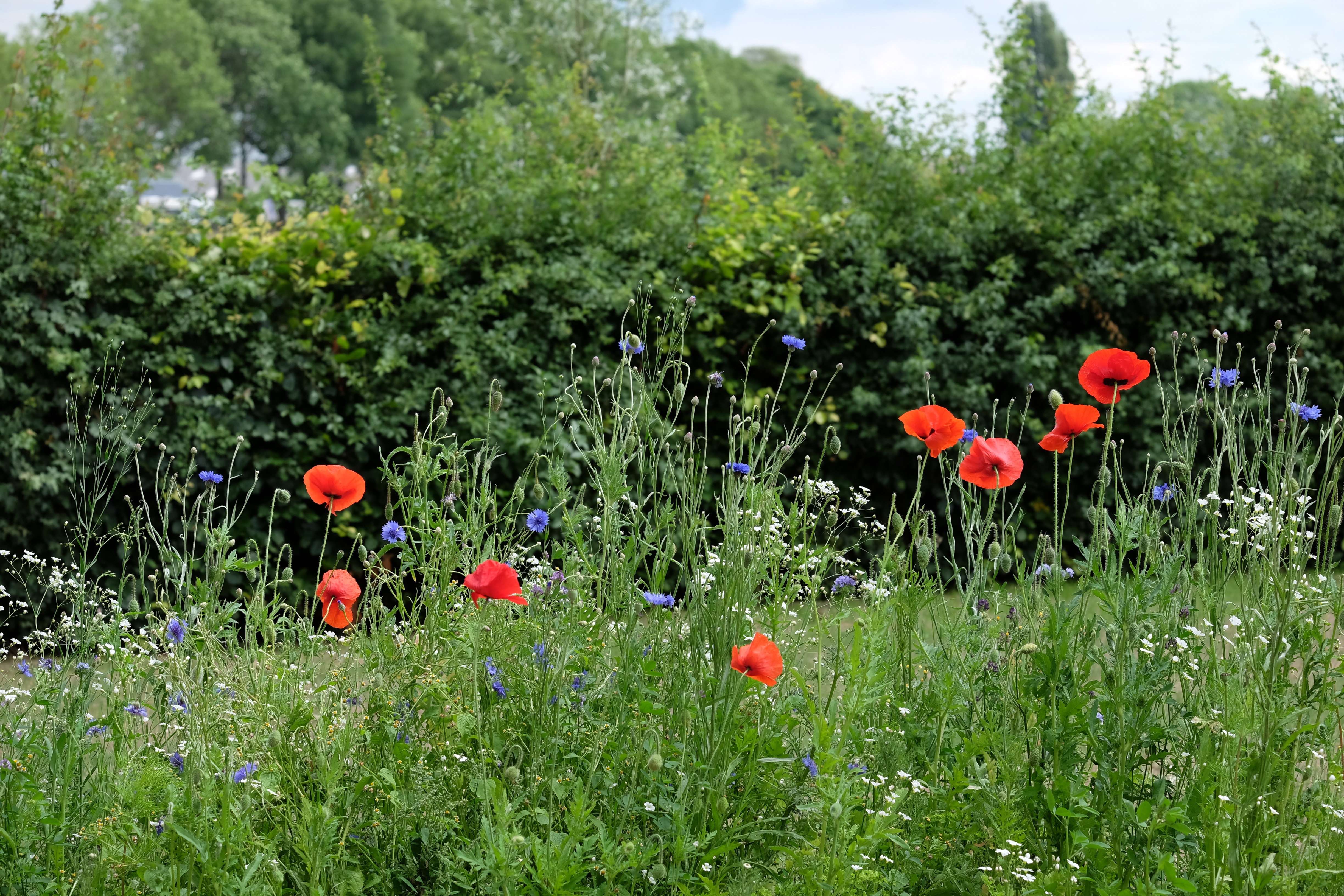 Natuurhuisje in Vierakker