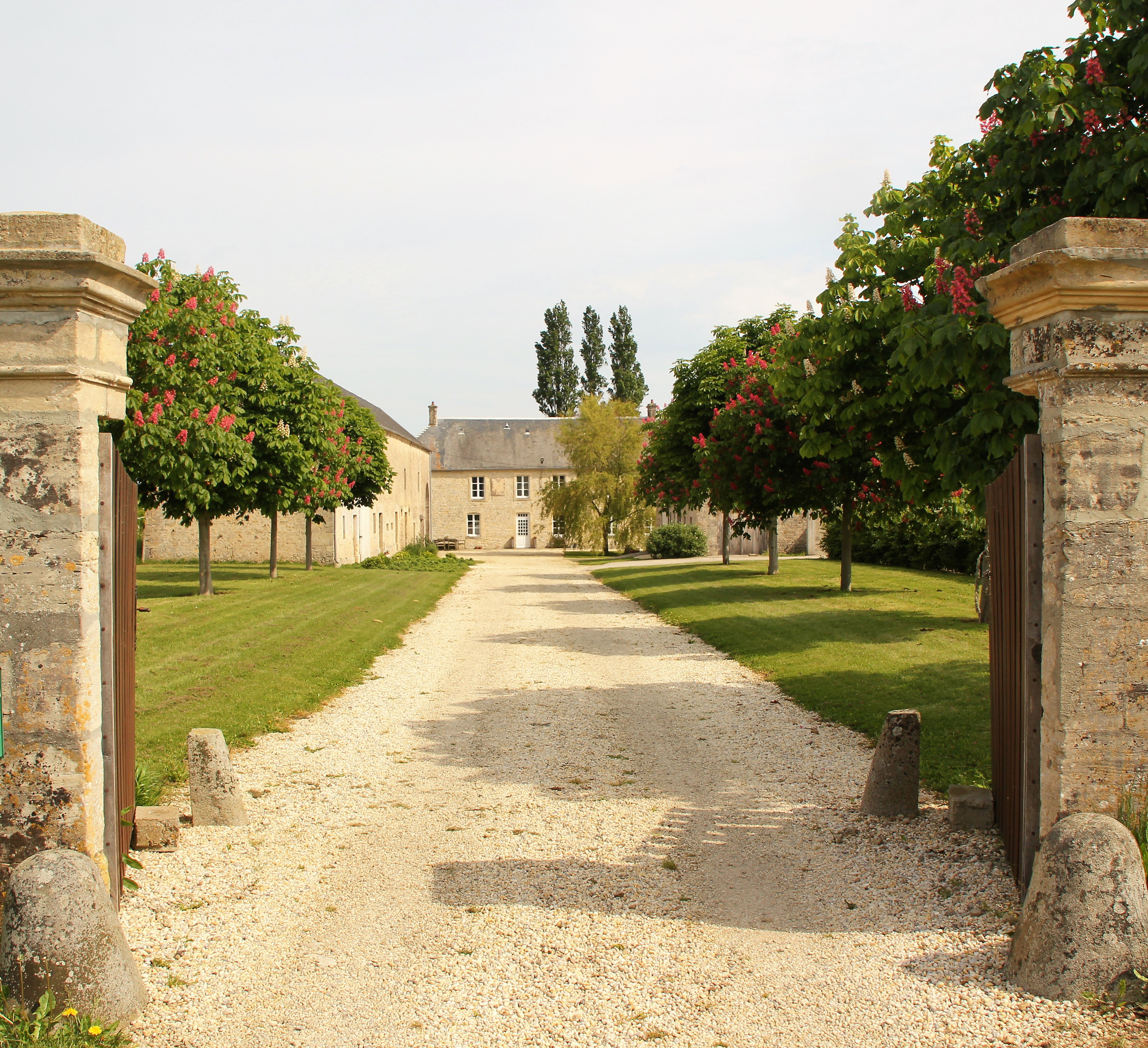 - image: 1
