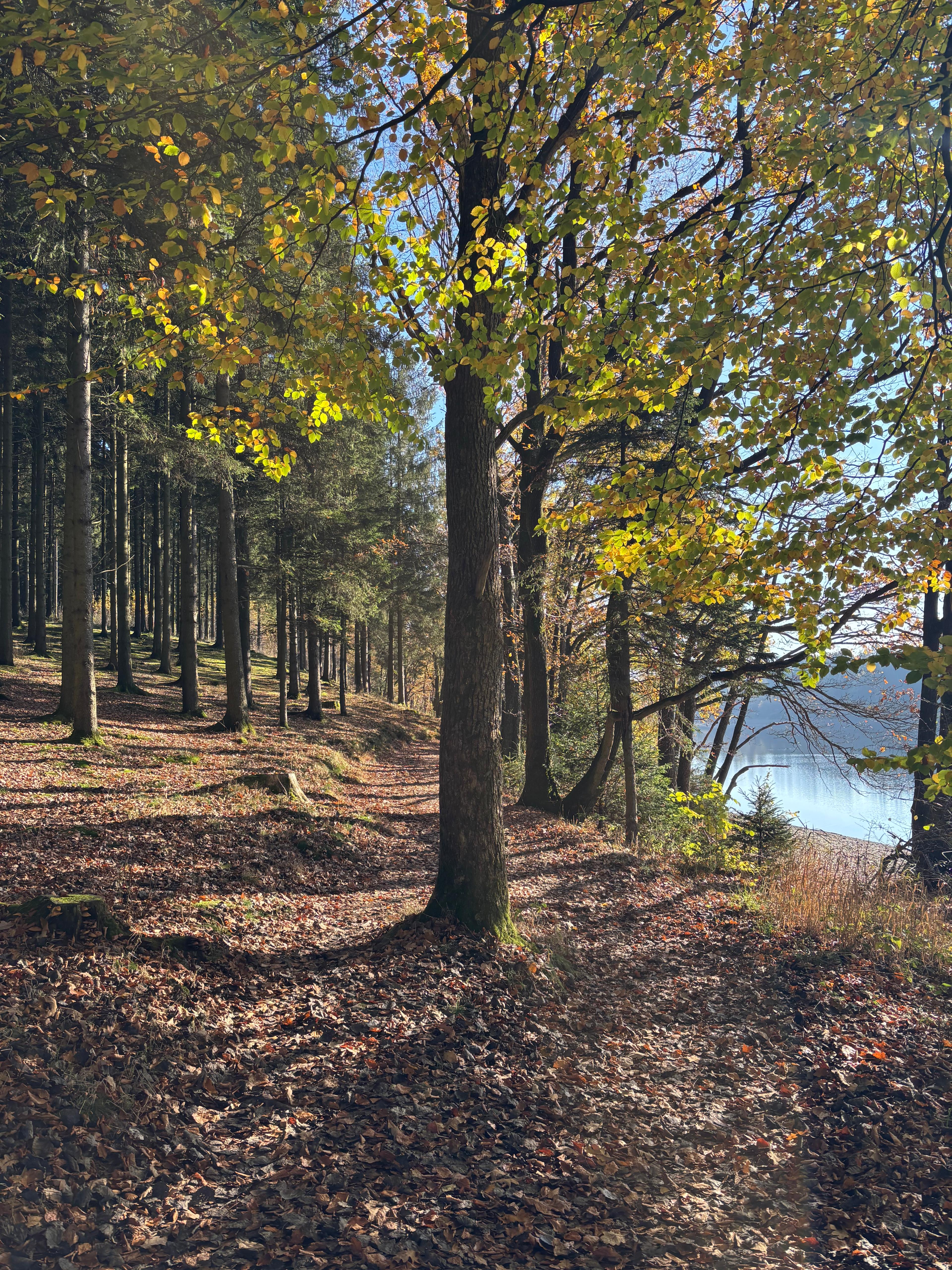 Casa nella natura a Küchelscheid