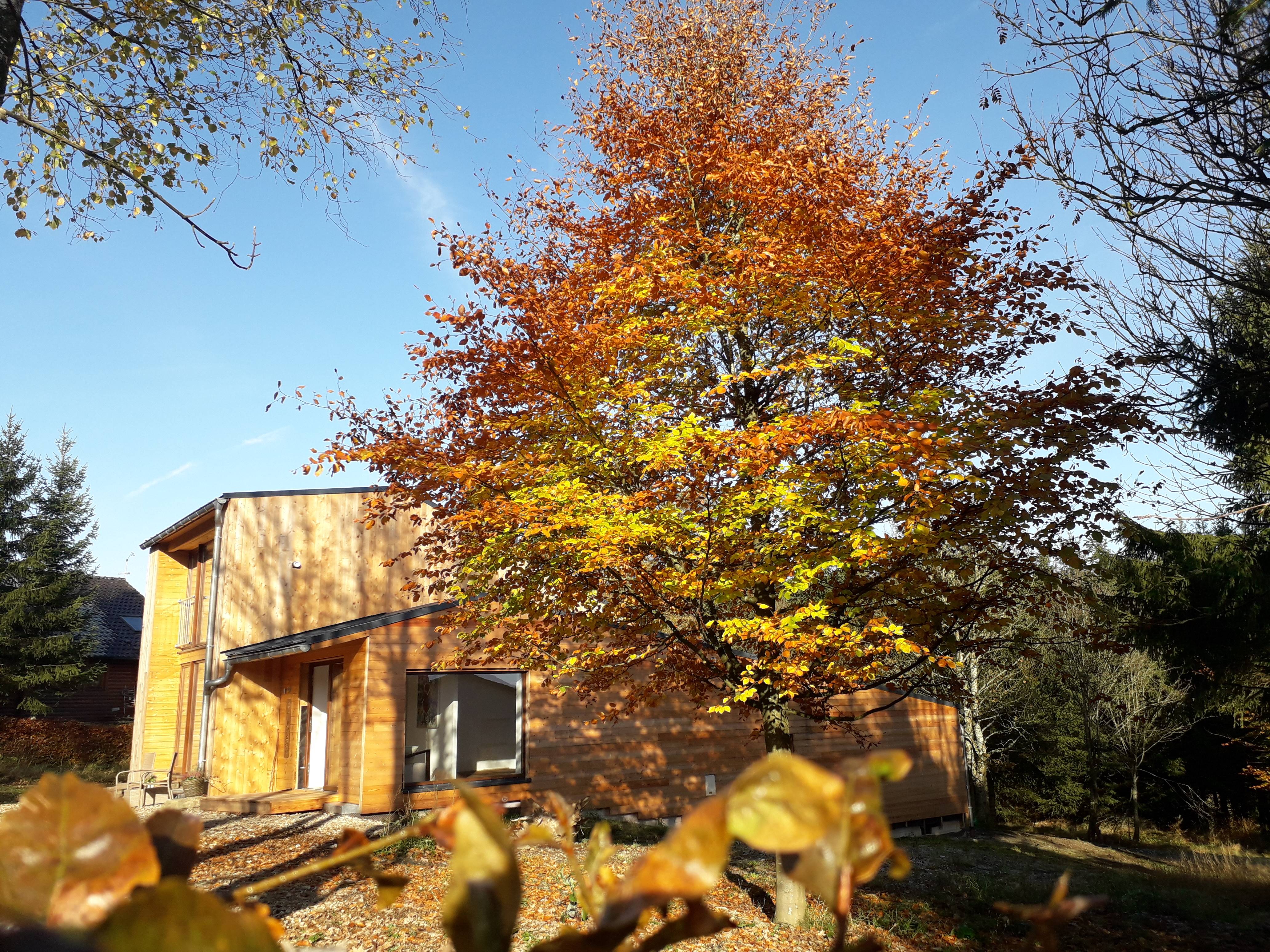 Natuurhuisje in Küchelscheid
