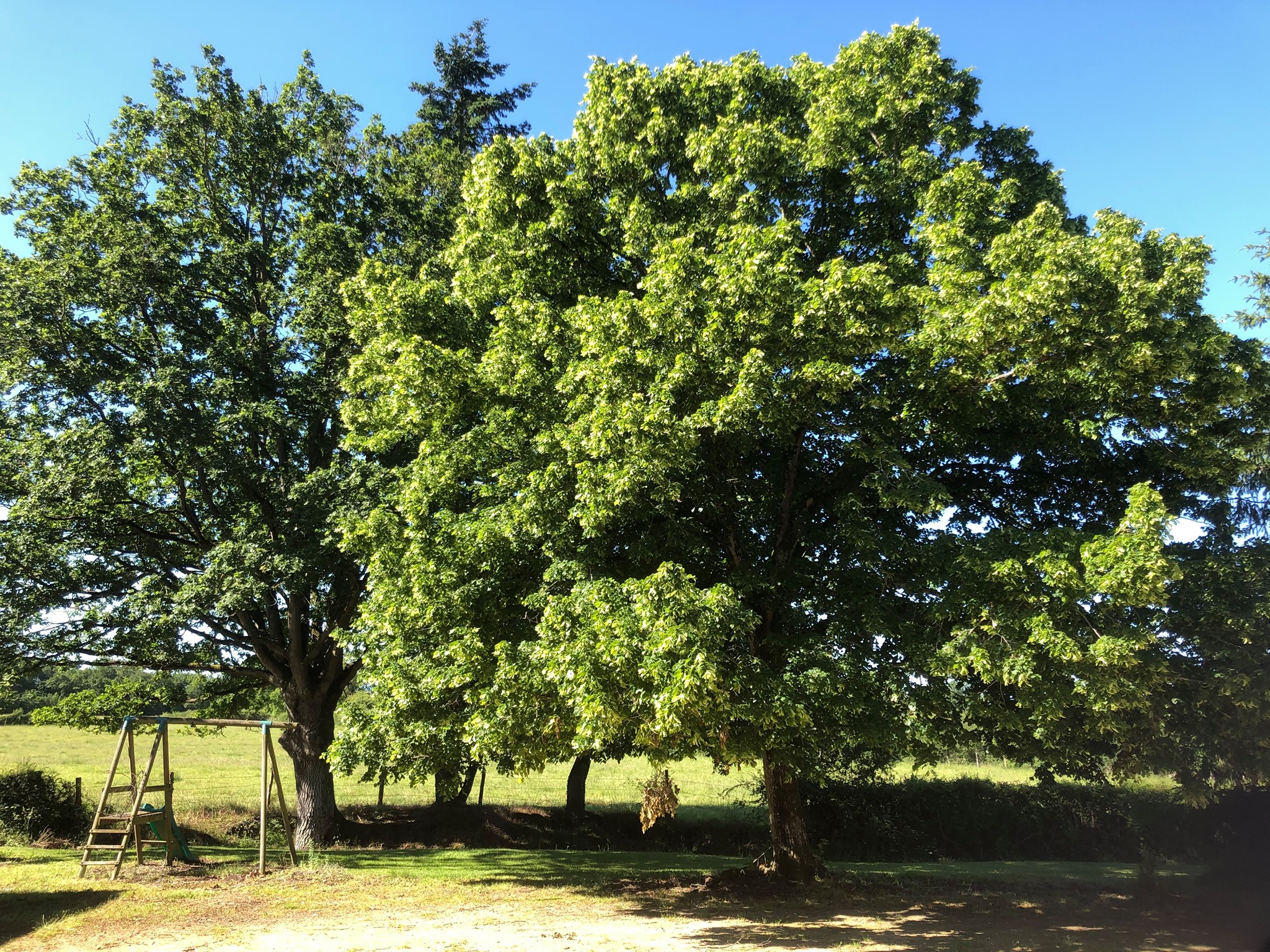 Naturhäuschen in LUBLE