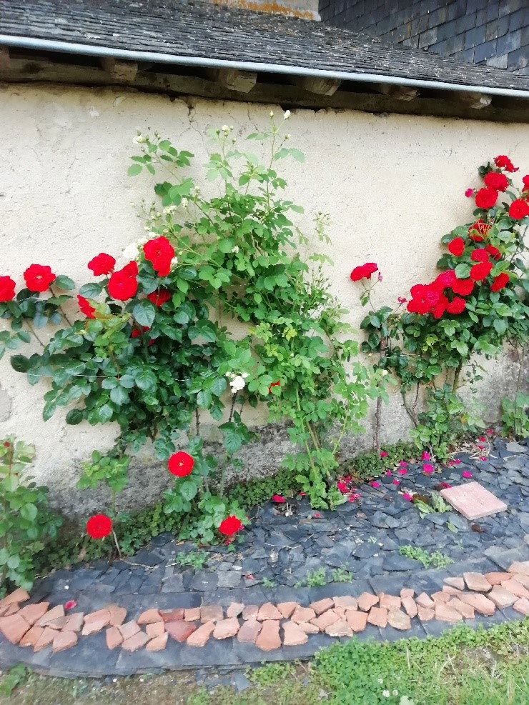 Naturhäuschen in LUBLE
