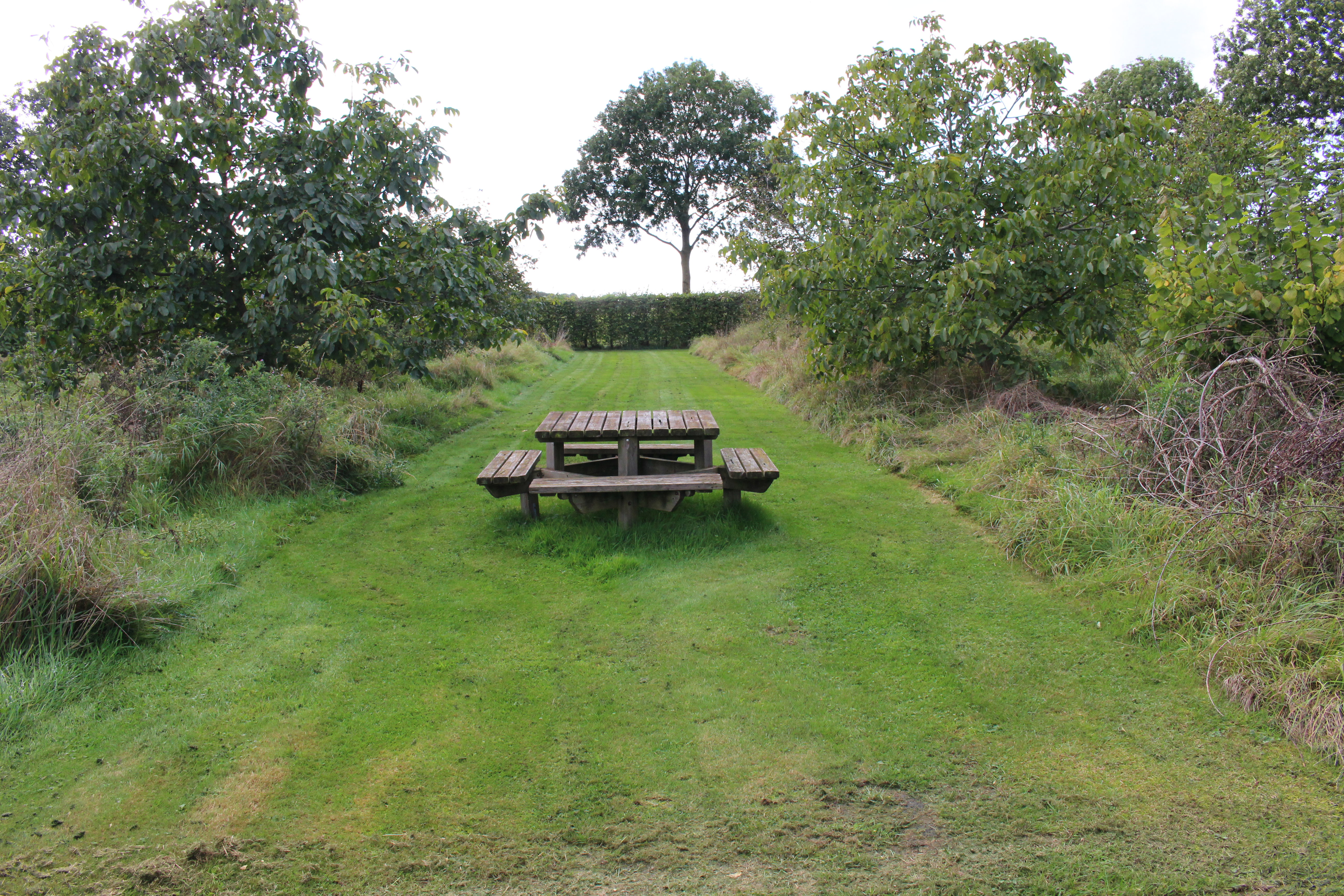 Naturhäuschen in Siebengewald