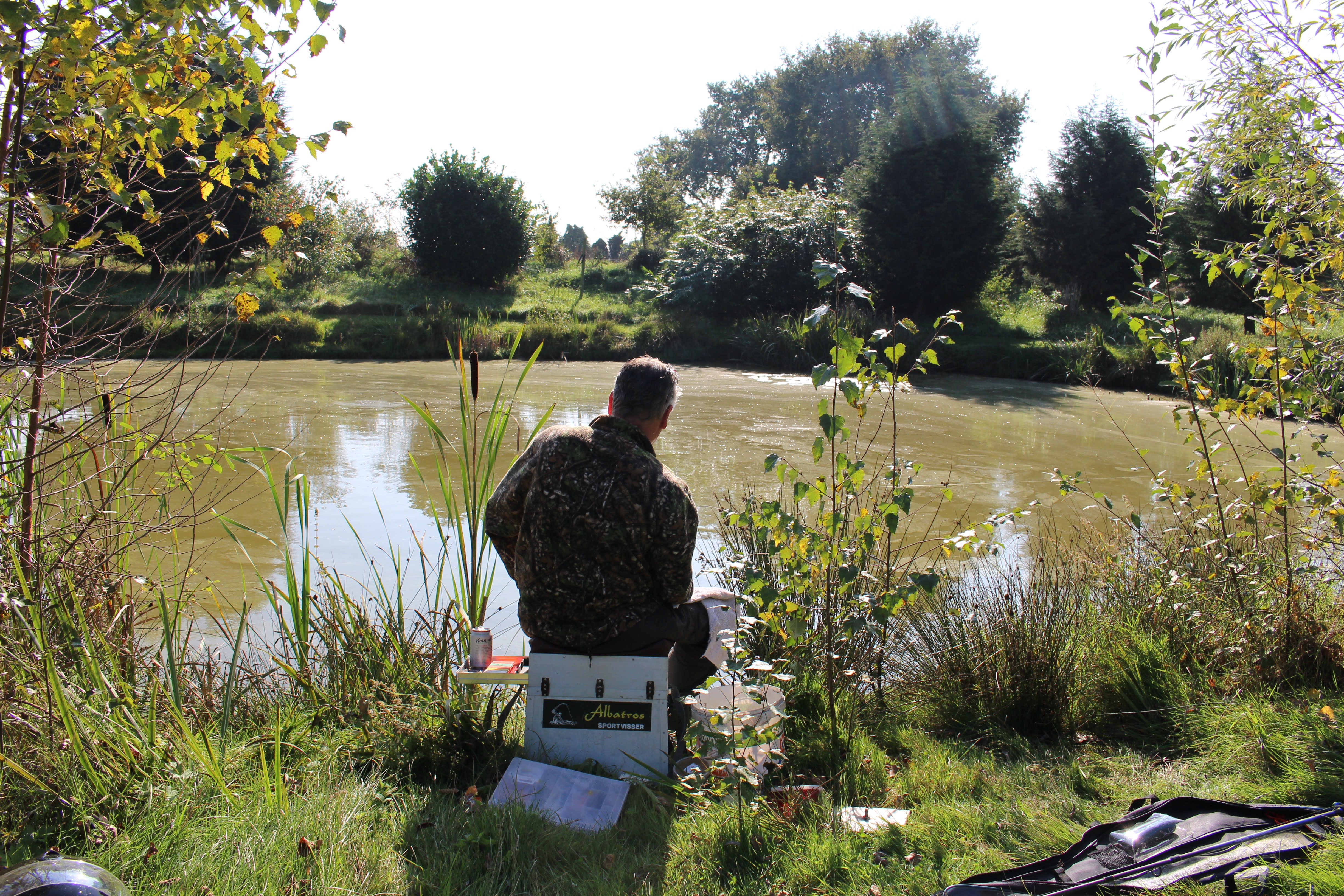 - image: 59