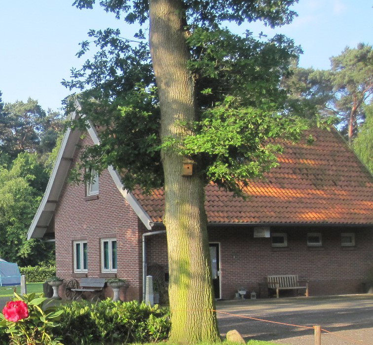 Maison nature à Bornerbroek