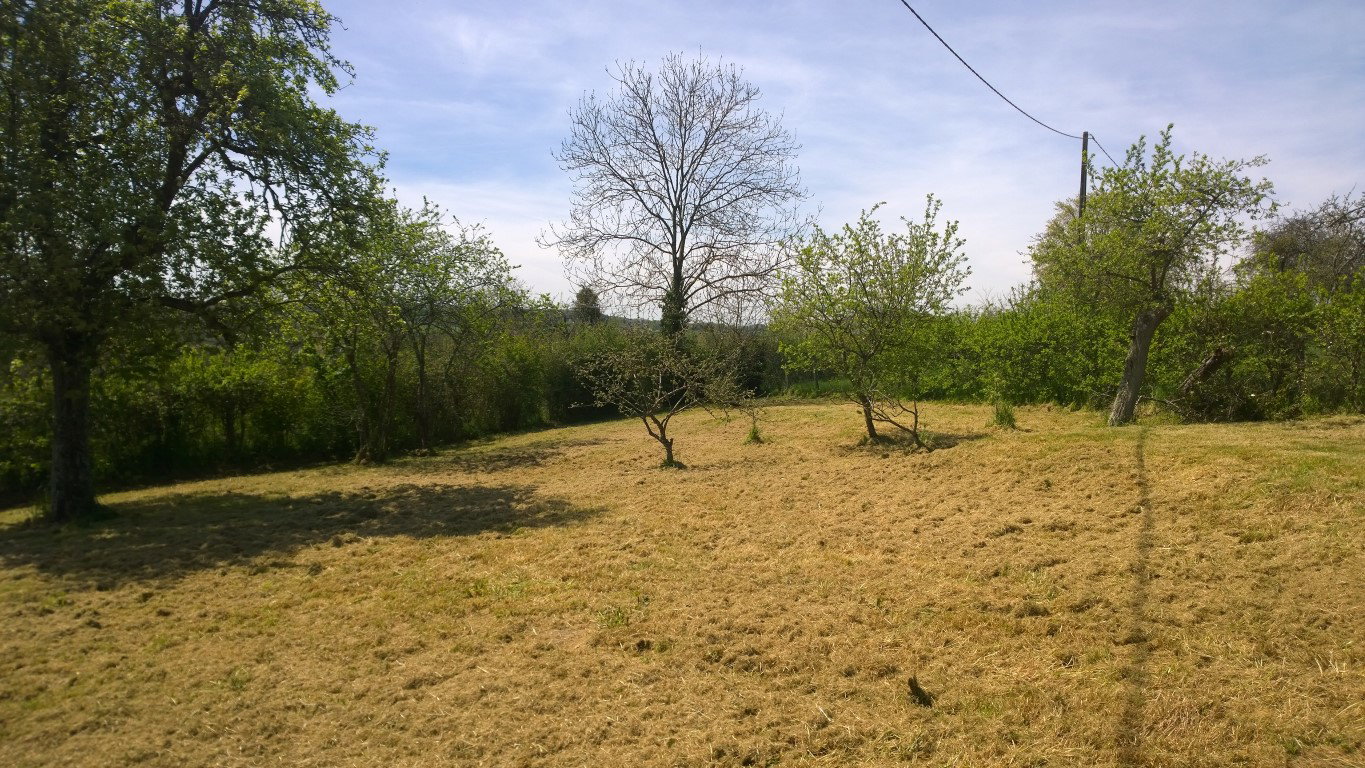 - image: 14