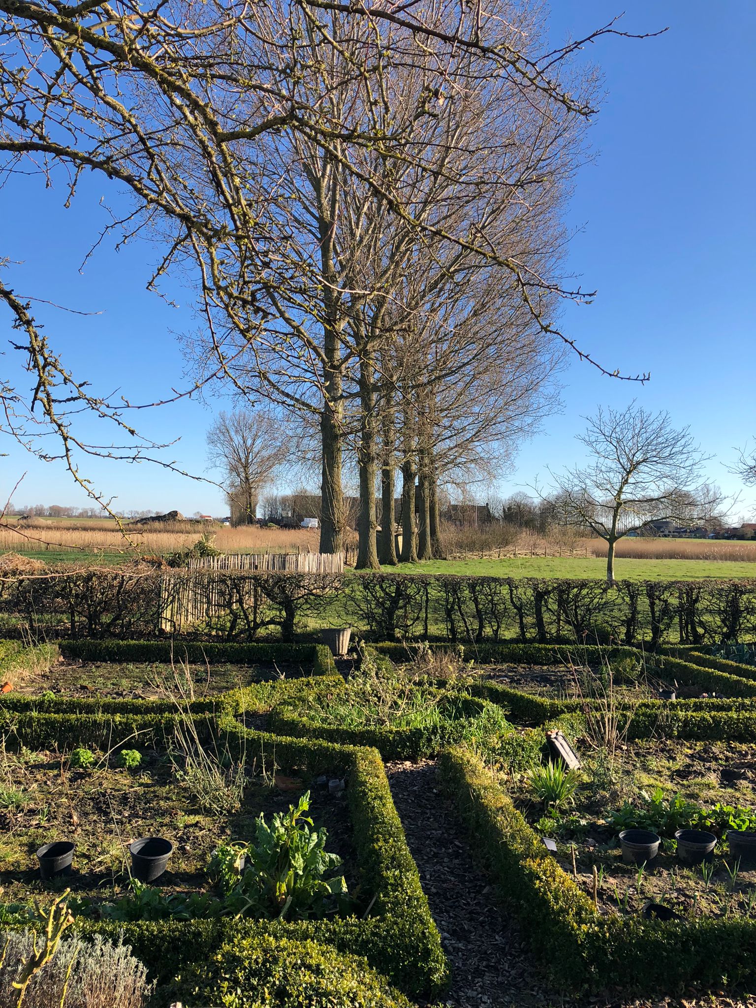 Naturhäuschen in Reuzenhoek