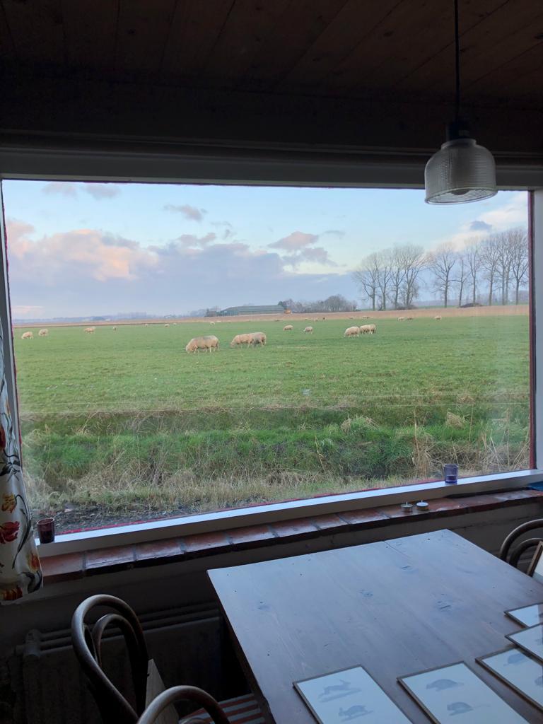 Naturhäuschen in Reuzenhoek