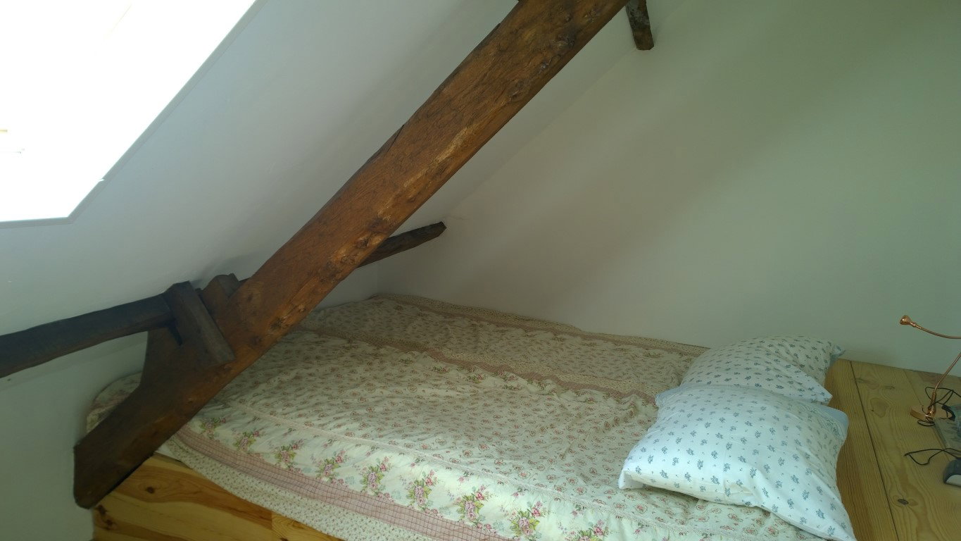 - image: 24