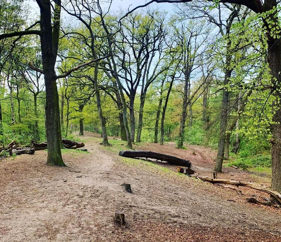 Maison nature à Bornerbroek
