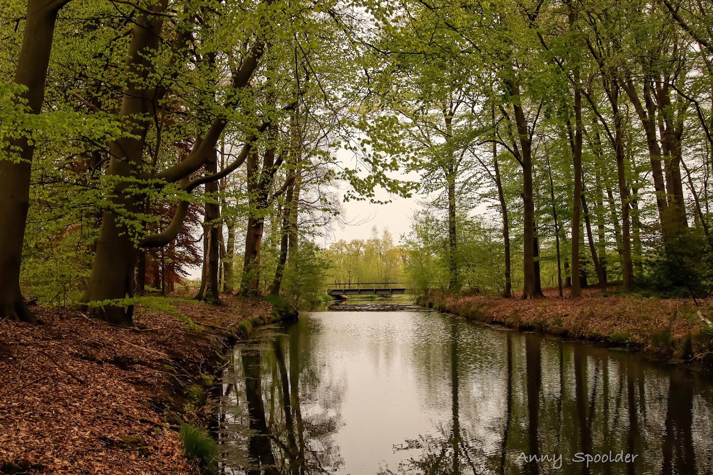 Naturhäuschen in Bornerbroek