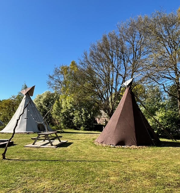 Nature house in Siegerwoude