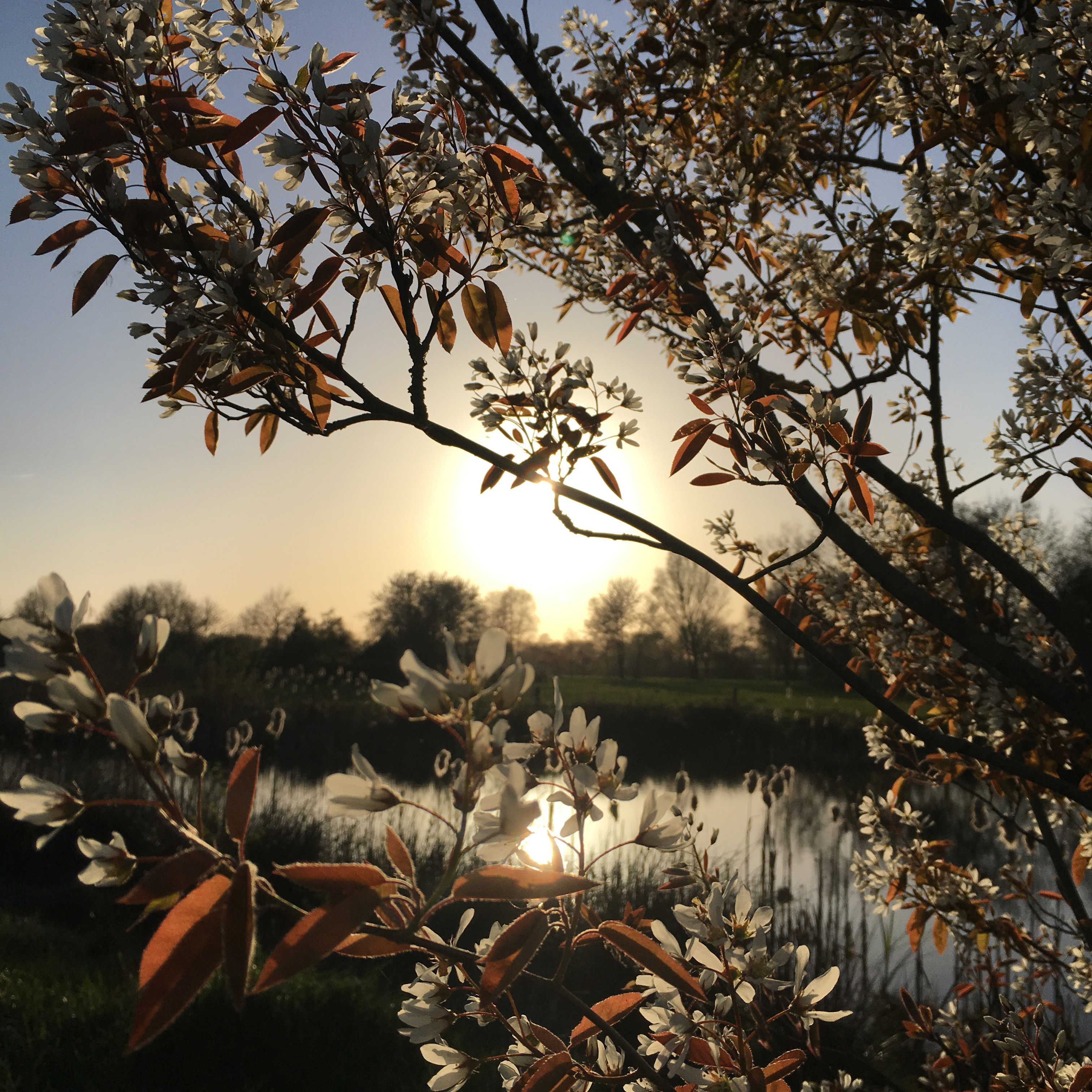 Natuurhuisje in Zuidwolde